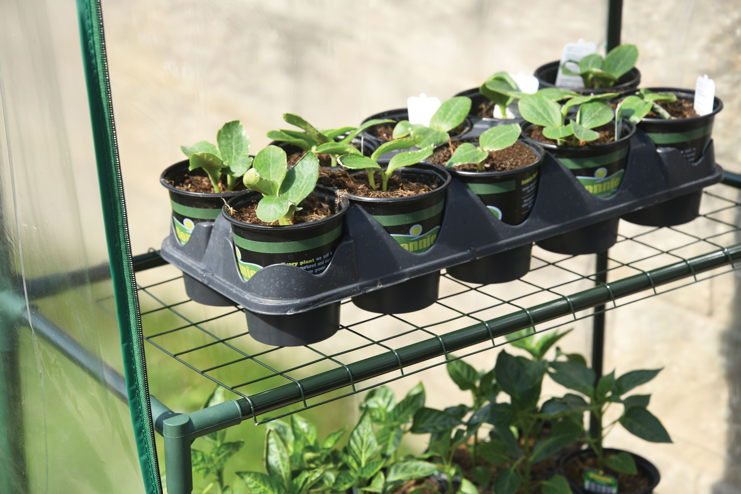 ShelterLogic 70519 greenhouses - View #2