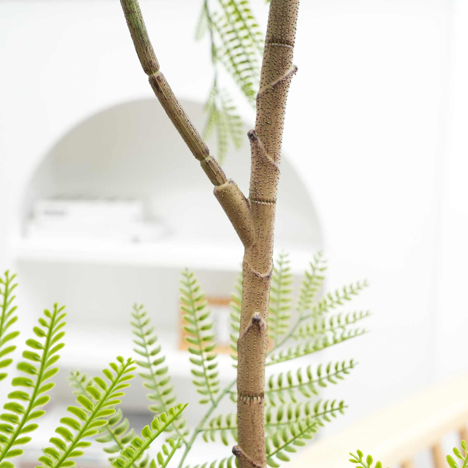 Armen Living WLS-FQZOL-VWGTCFGK Artificial-Plants-Trees - View #5