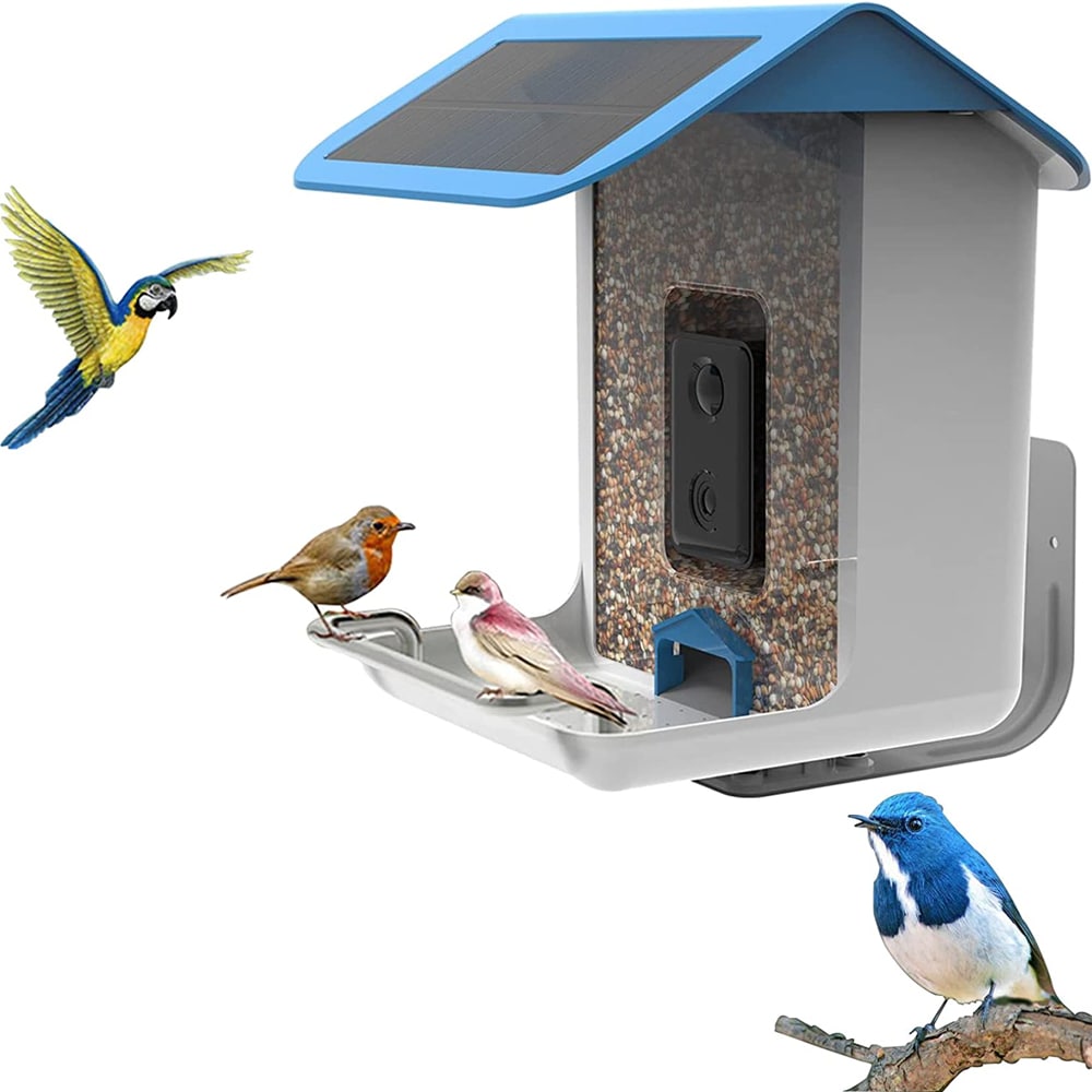 Buy Squirrel-Be-Gone II Home Style Wild Bird Feeder Online With