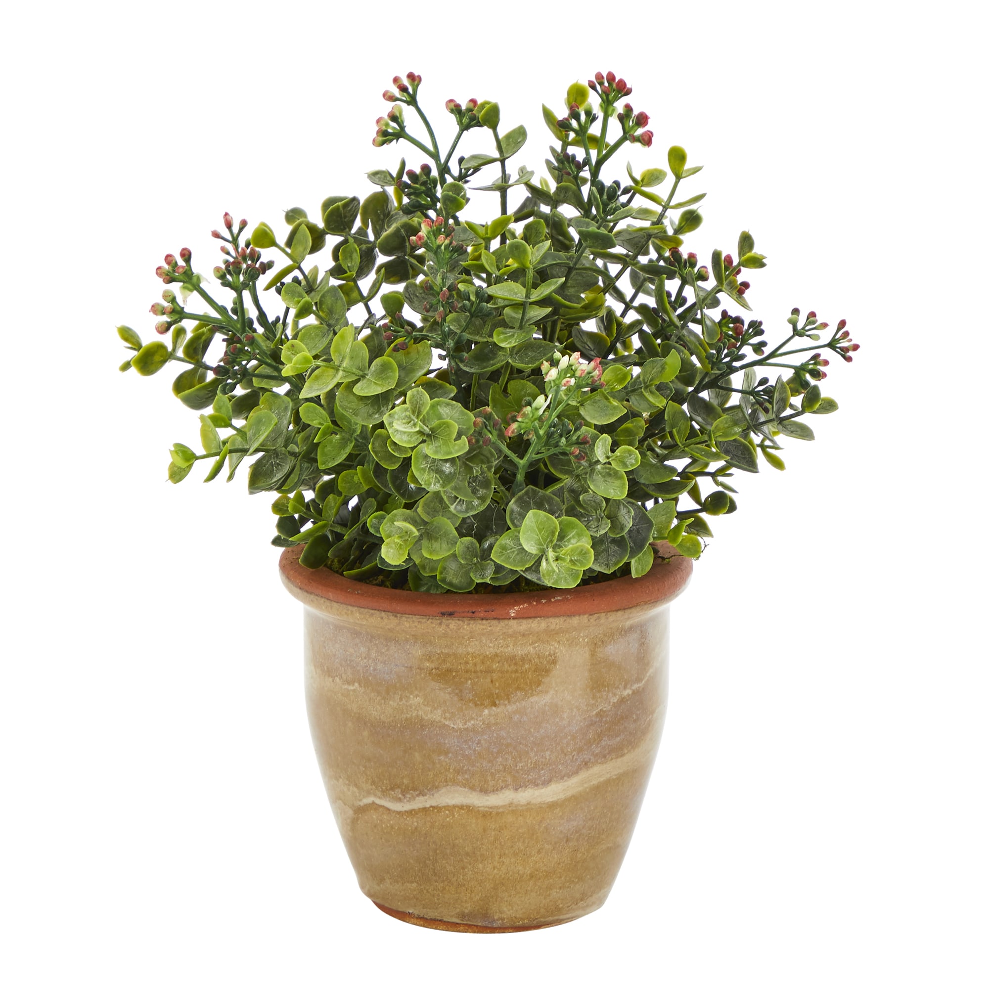 Nearly Natural P1456 10-Inches Green Indoor Desktop Silk Artificial plant