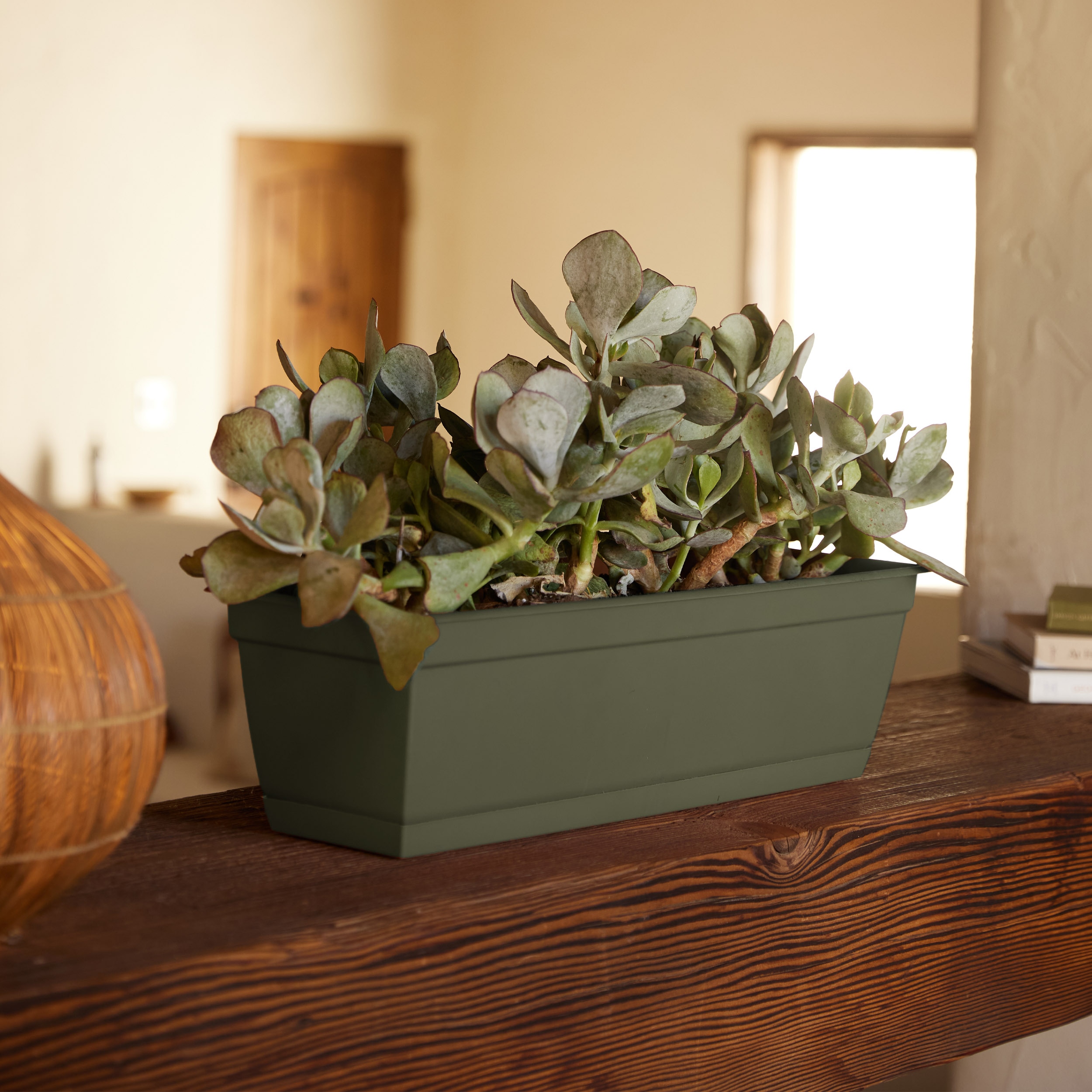 Bloem 24-in W x 5.75-in H Living Green Resin Traditional Indoor/Outdoor Window  Box in the Pots  Planters department at