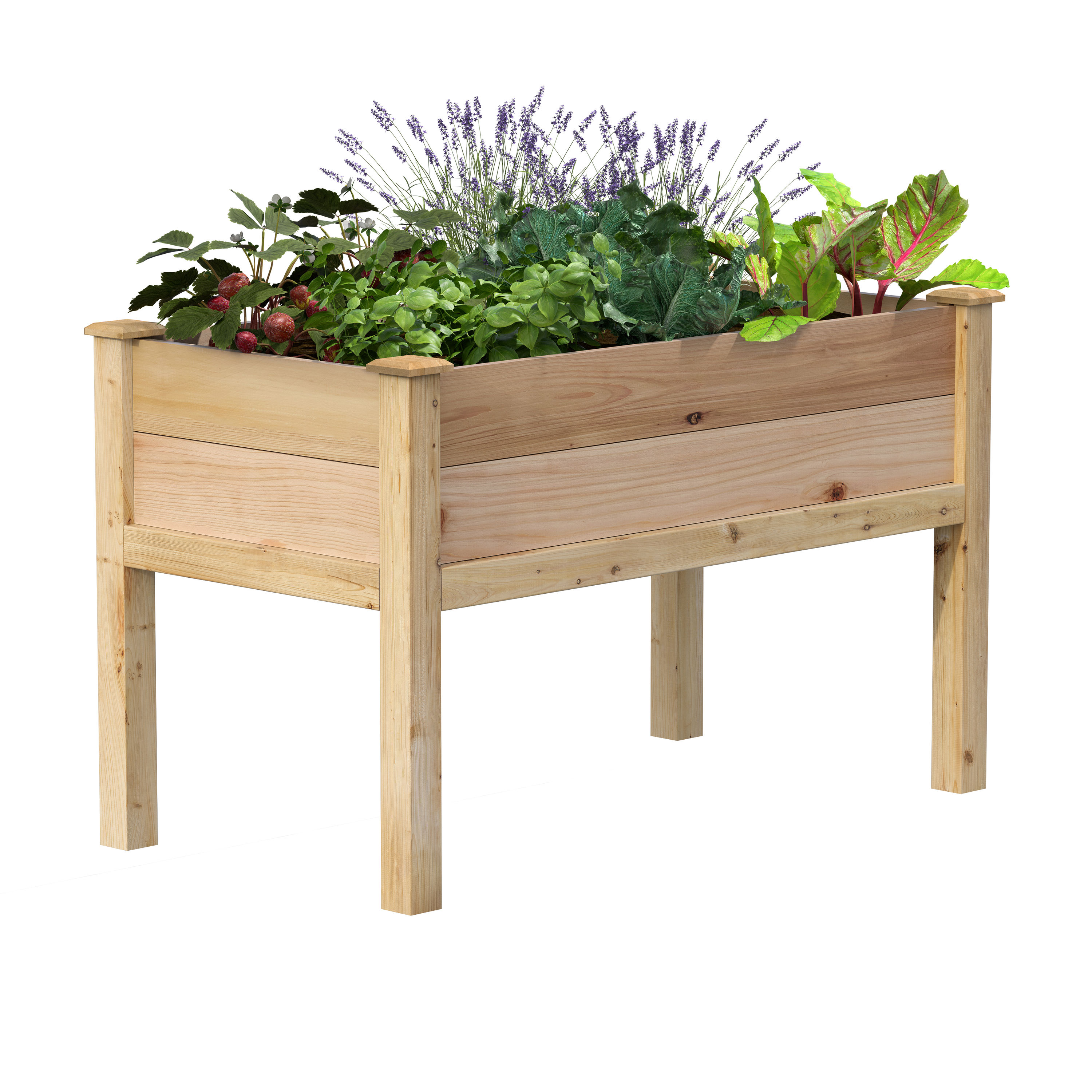 Greenes Fence RCEV2448P 24-in W x 48-in L x 31-in H Natural Cedar Raised Planter Box