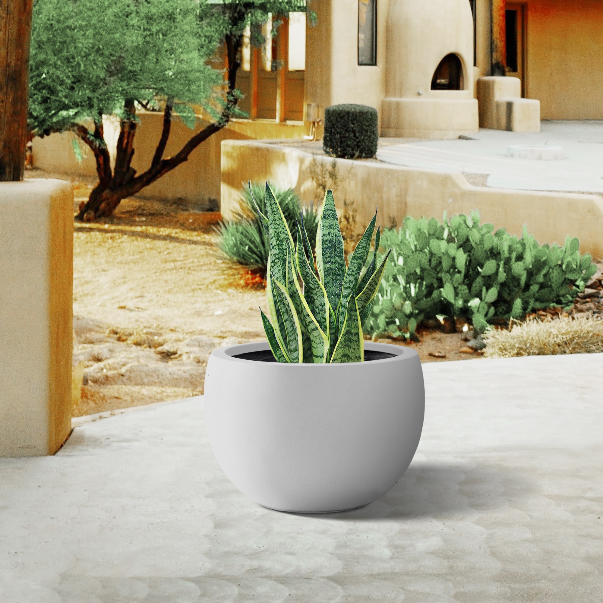 PLANTARA PA049C-8011 Planter-Window-Box - View #5