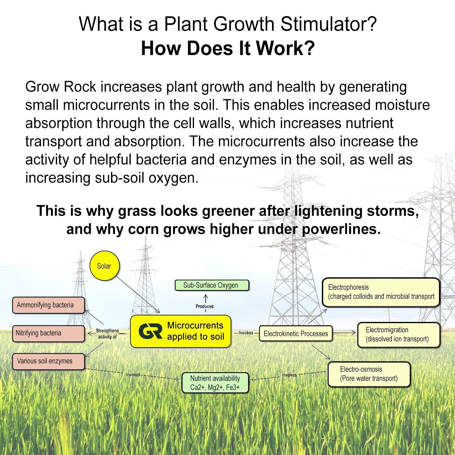 Grow Rock 8101 plantcare - View #5