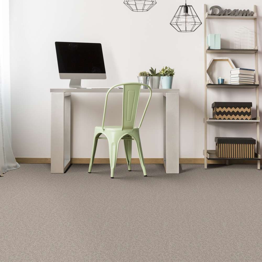 STAINMASTER 7L79100523 Carpet-Panel - View #4