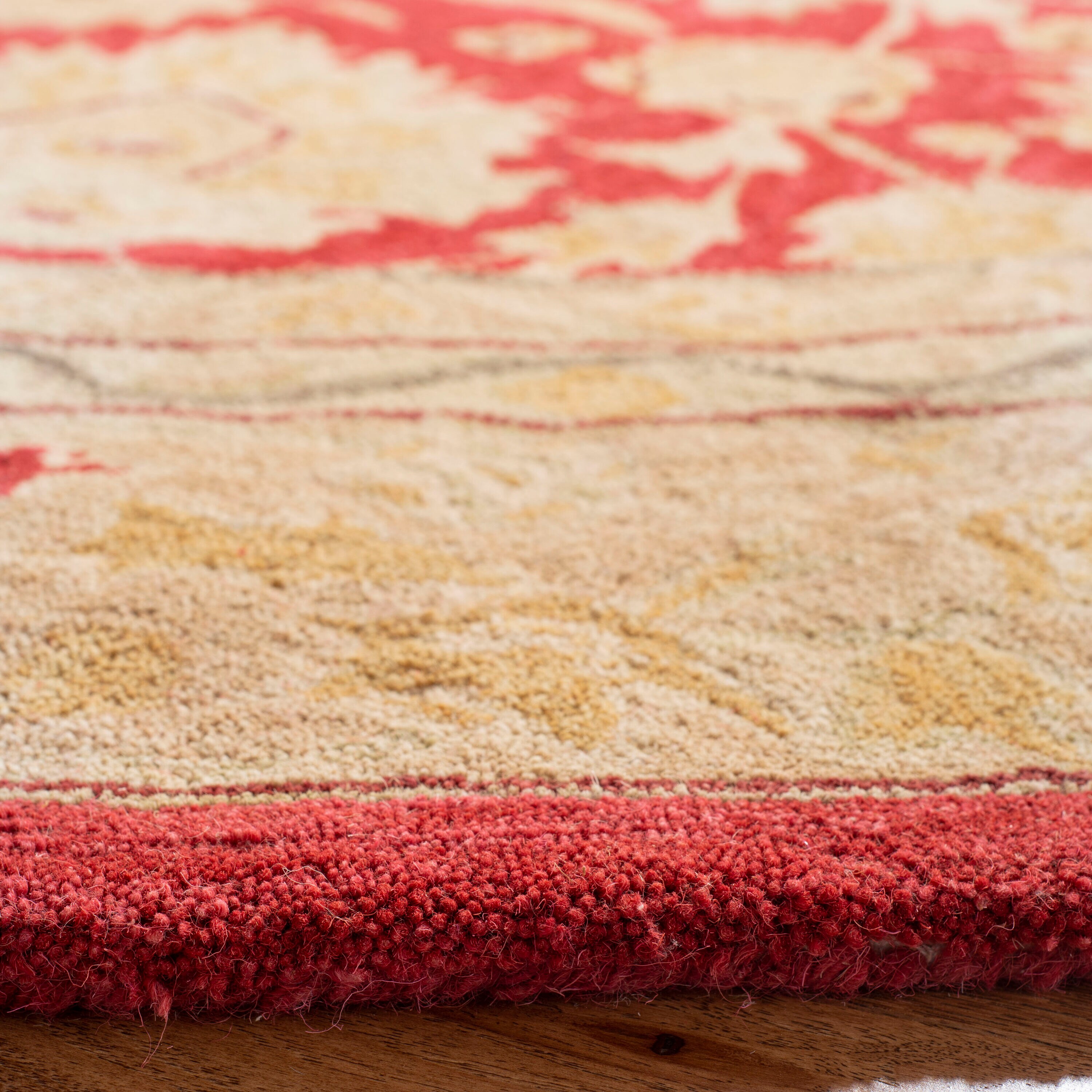 Safavieh AN522A-6R rugs - View #3