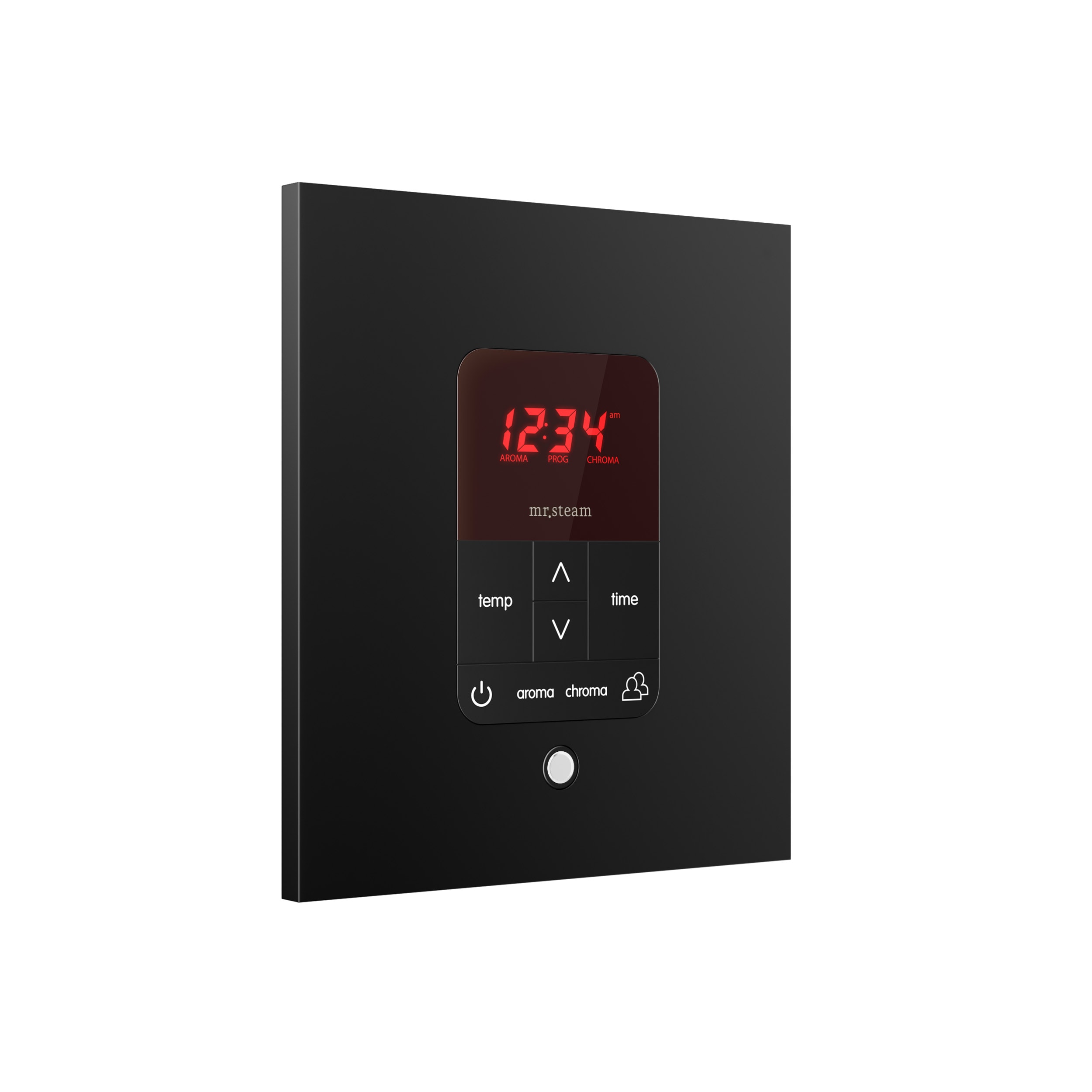 Mr. Steam 120Watt Matte Black Steam Control Unit with 1 Control Panel