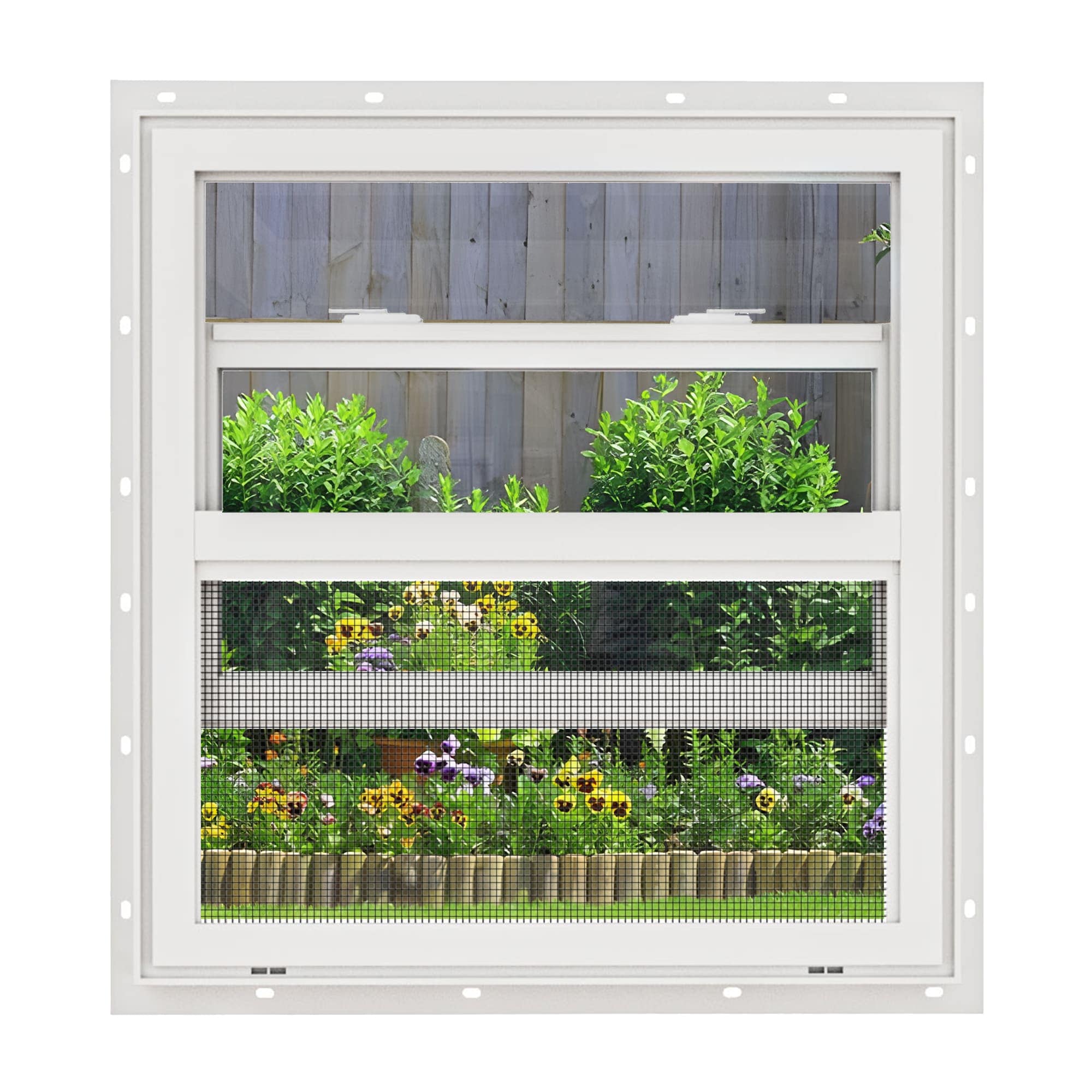 Ark Design 36-in x36-in 3 Glazed Single Hung Vinyl Window with Tempered Glass White