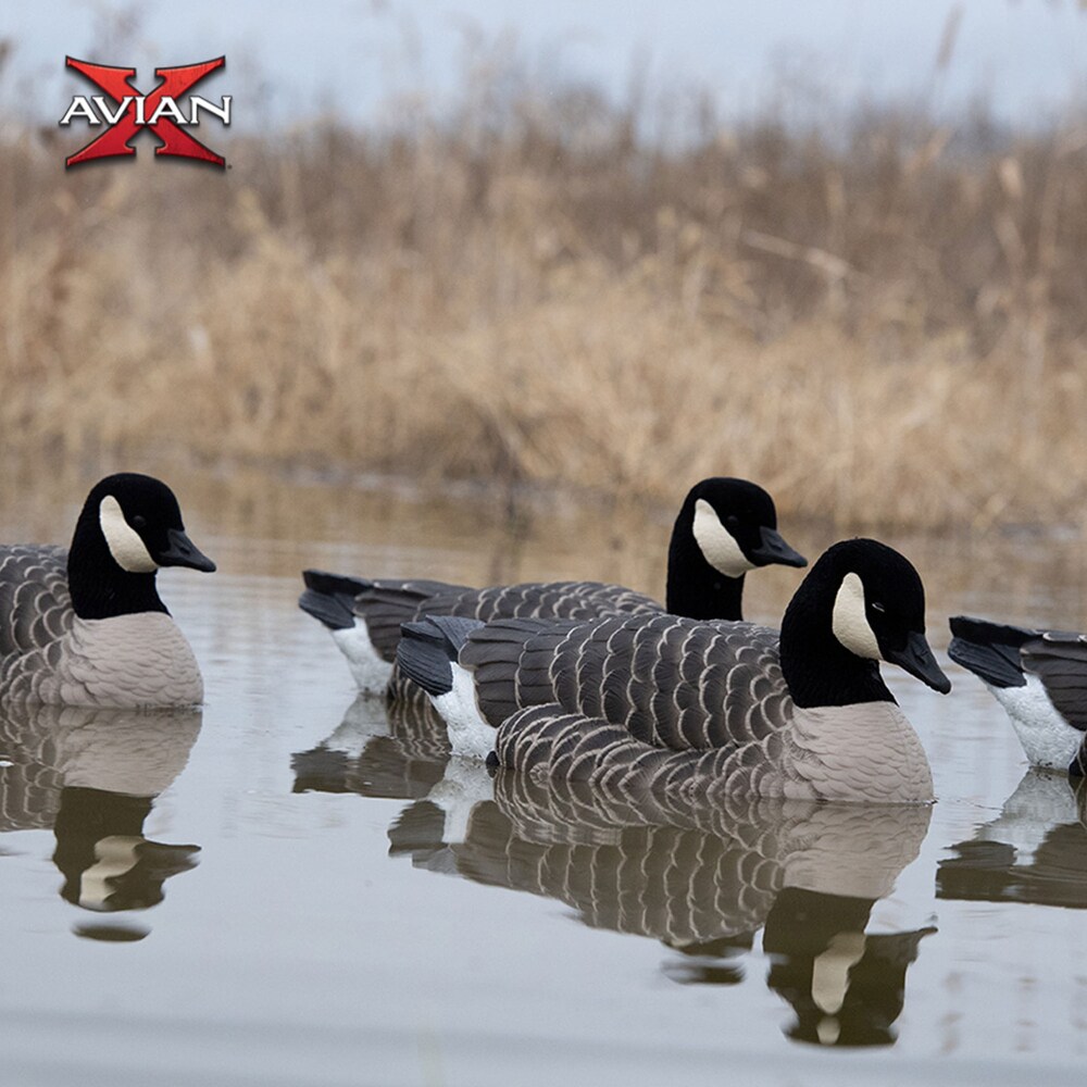  Avian X 408548 Hunting-Equipment - View #9
