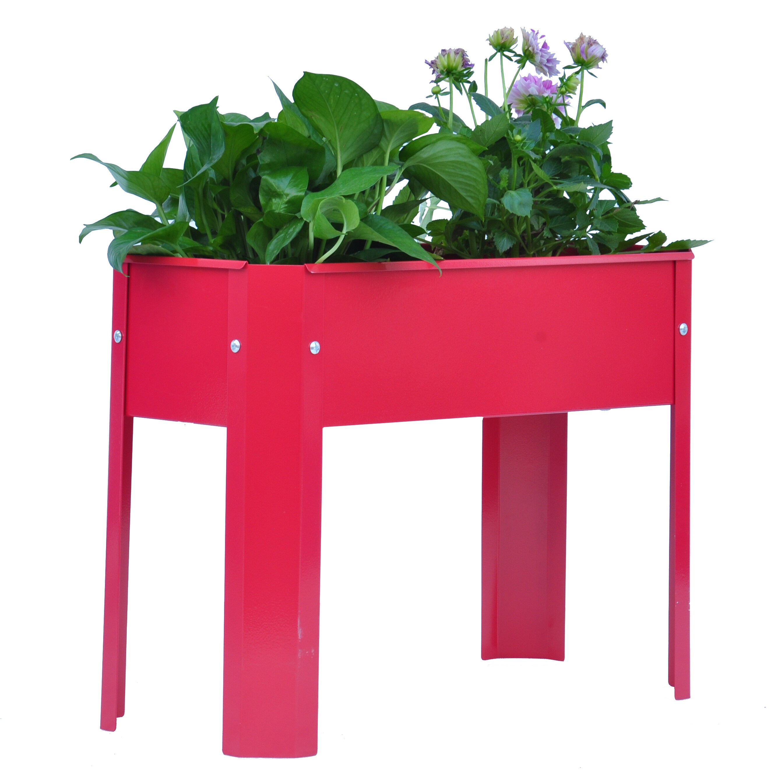 AHIOU HOME ZAAHG-81986GB Raised-Planter-Boxes - View #4