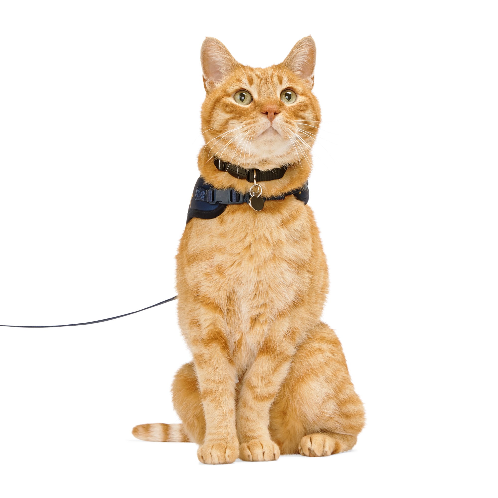 Youly Q224C15 Dog-Collars-Harnesses - View #2