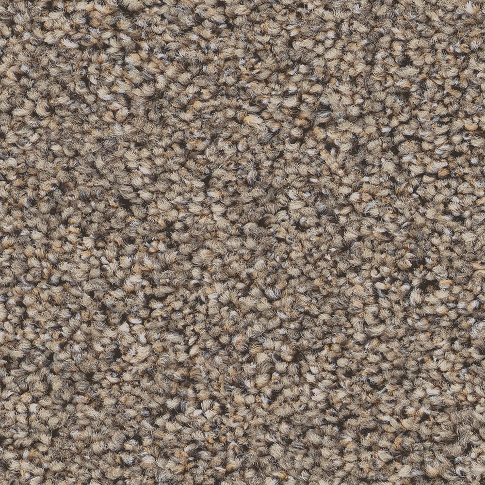 STAINMASTER 7L962-732-SAMP (Sample) 8-in x 8-in Marvel II Slate Brown 63.4-oz sq yard Solution-dyed polyester Textured Indoor Carpet