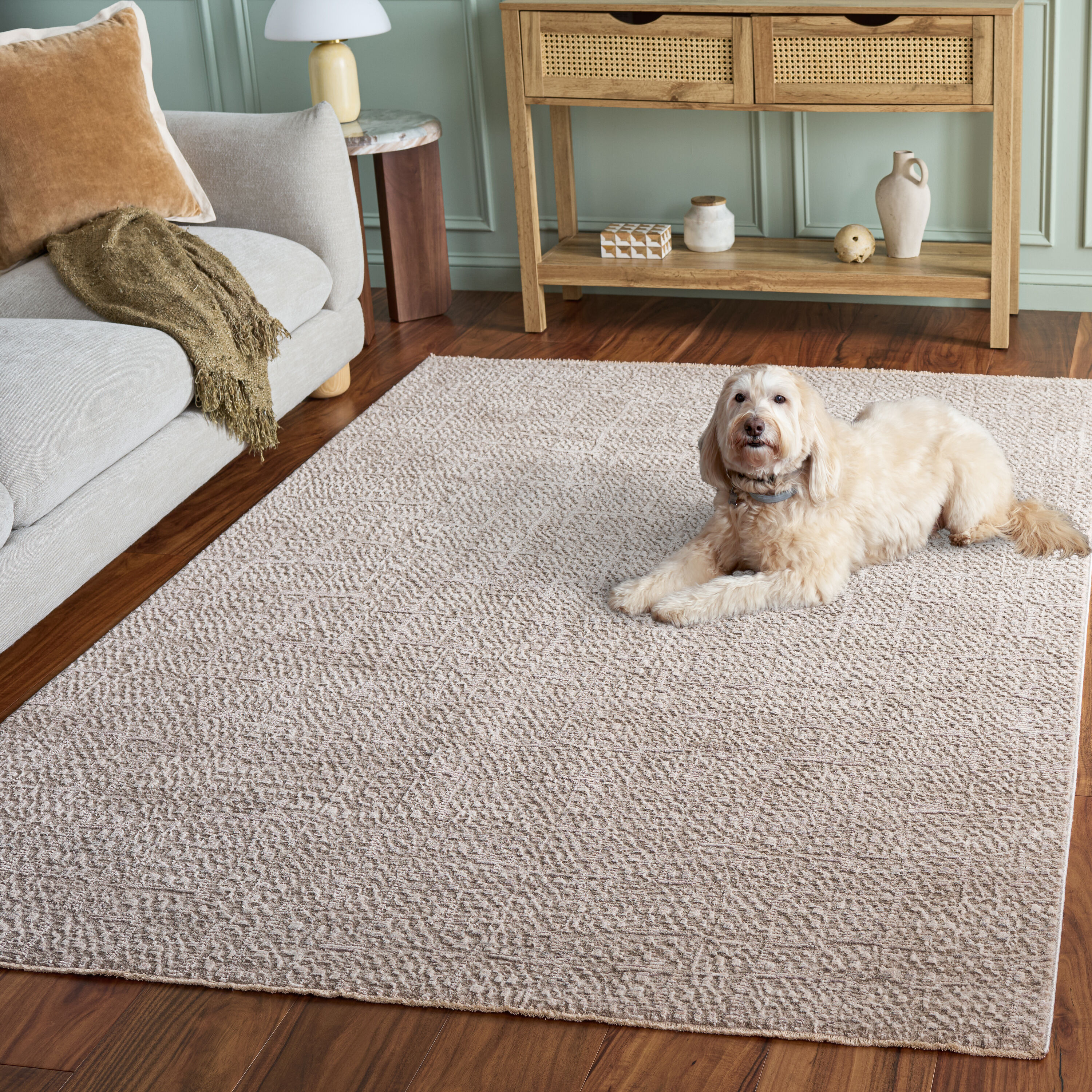 Safavieh PLR216B-6 rugs - View #6