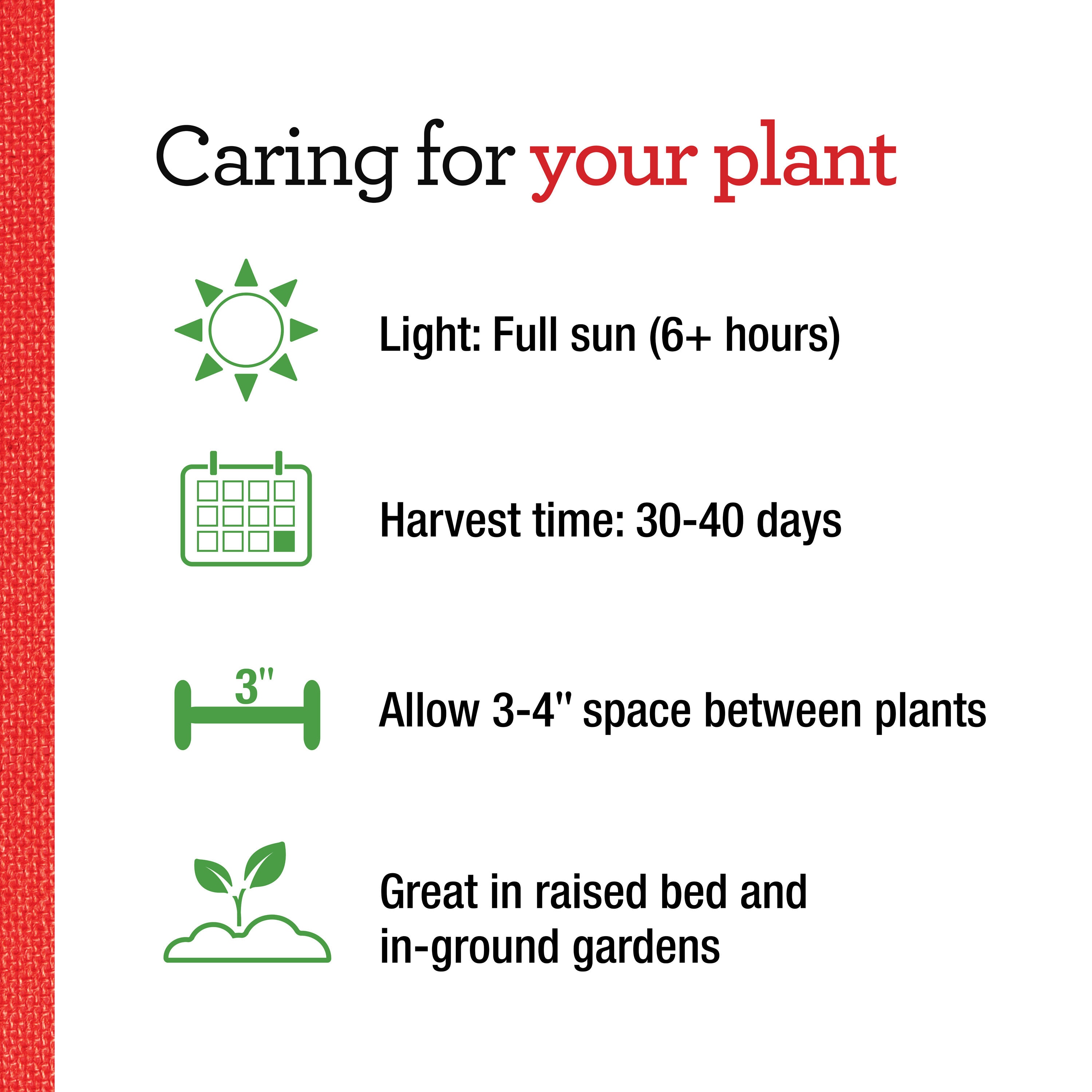 Bonnie Plants 202055 Vegetable-Plants - View #5