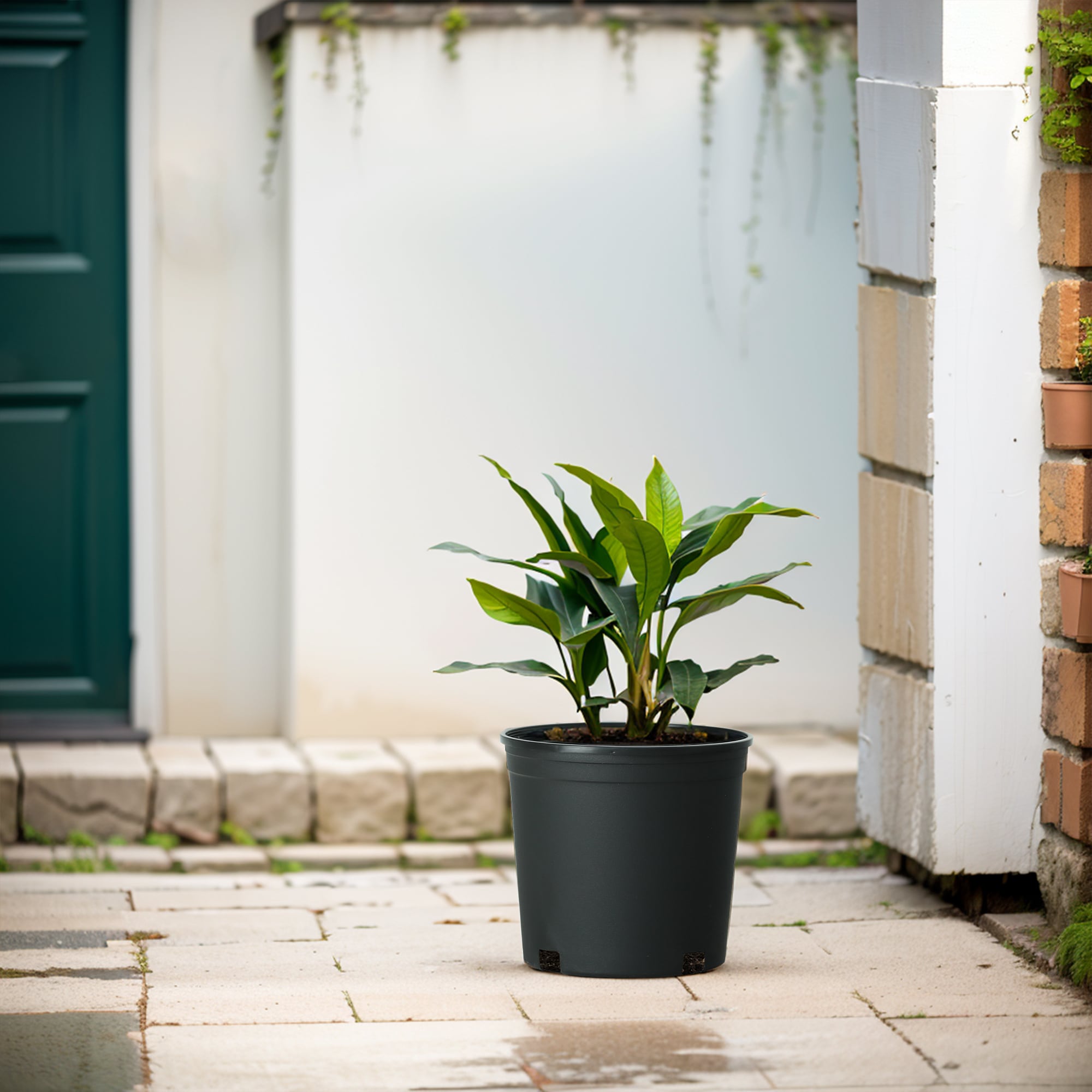 Style Selections MLH0409PKH Planter-Window-Box - View #2