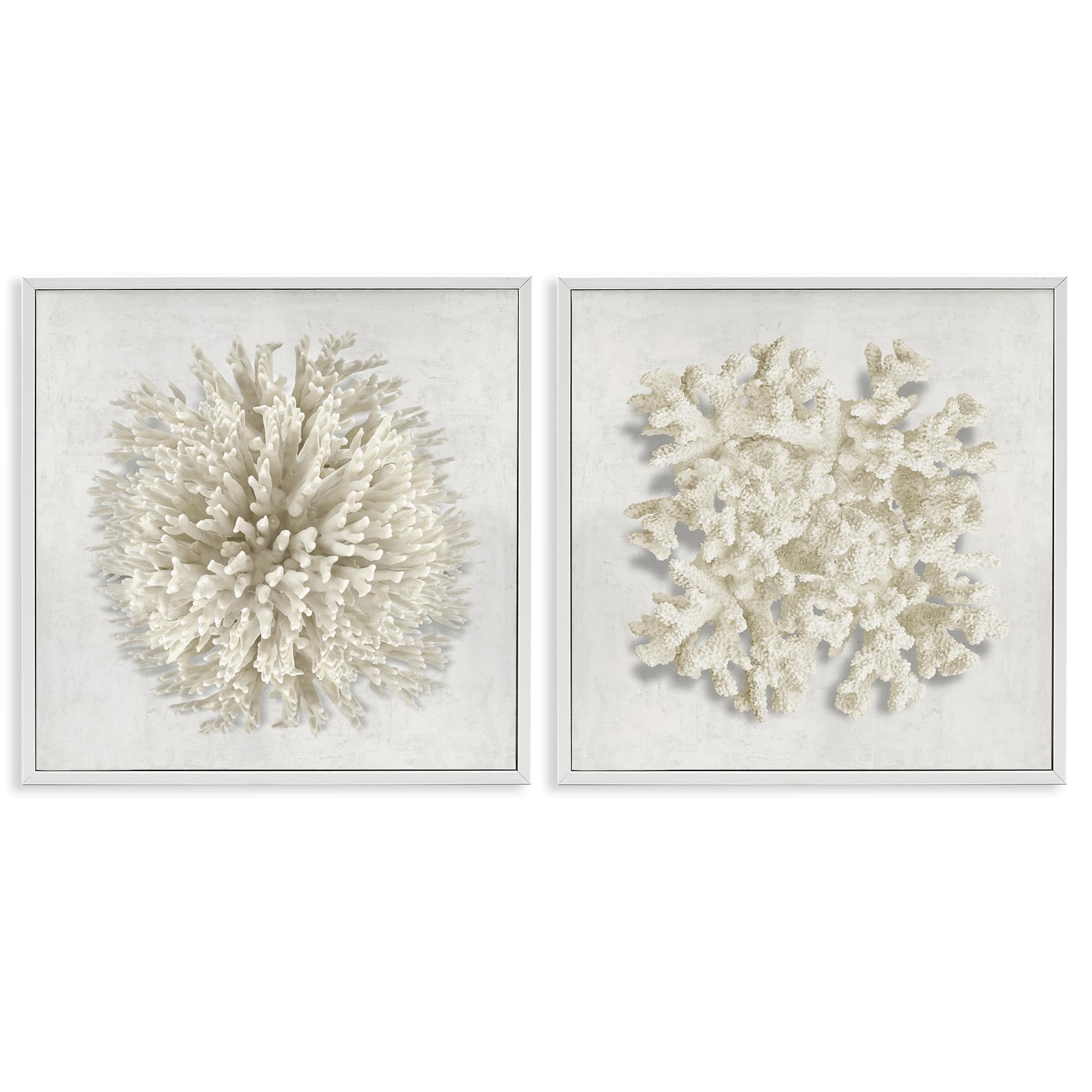 Stupell Industries B2-786-WFR-2PC-24X24 Distinct Natural Coral 2 Piece White Framed Giclee Art Set By Caroline Kelly 24 x 24