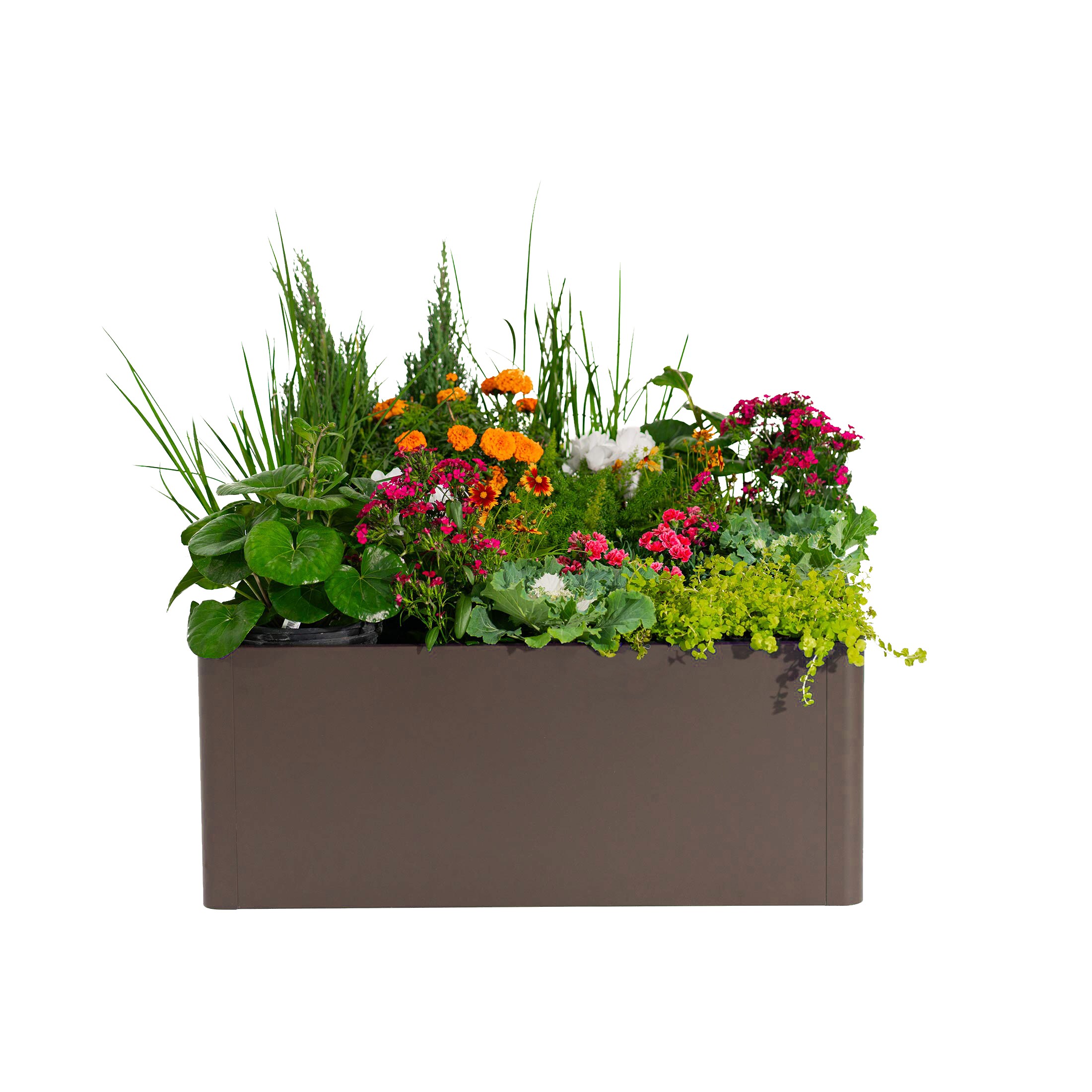 Vego Garden VBM4283BR Raised-Garden-Beds - View #4