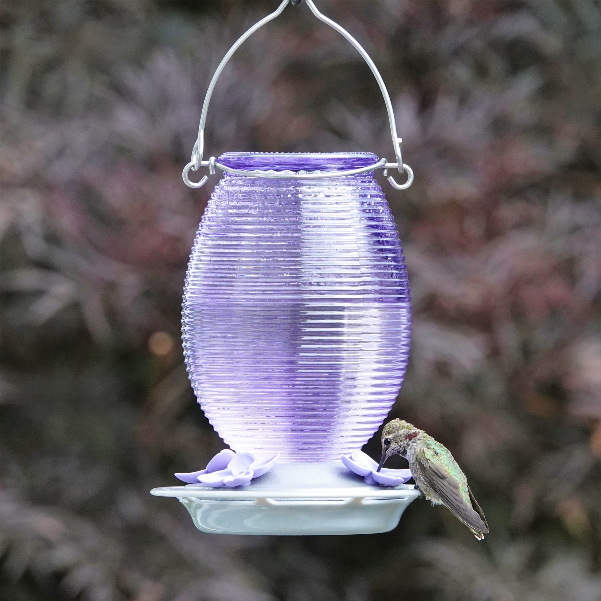 Nature's Way ANTGHF5-IP Bird-Feeders - View #2