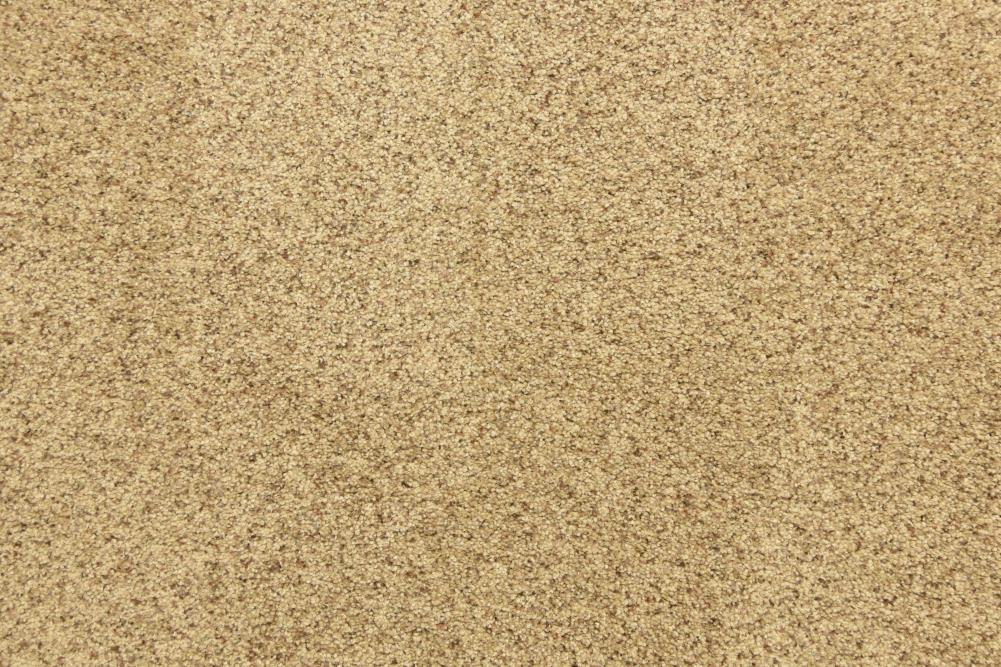 STAINMASTER DL022-114S (Sample) PetProtect Pilgrim Gateway Textured Carpet