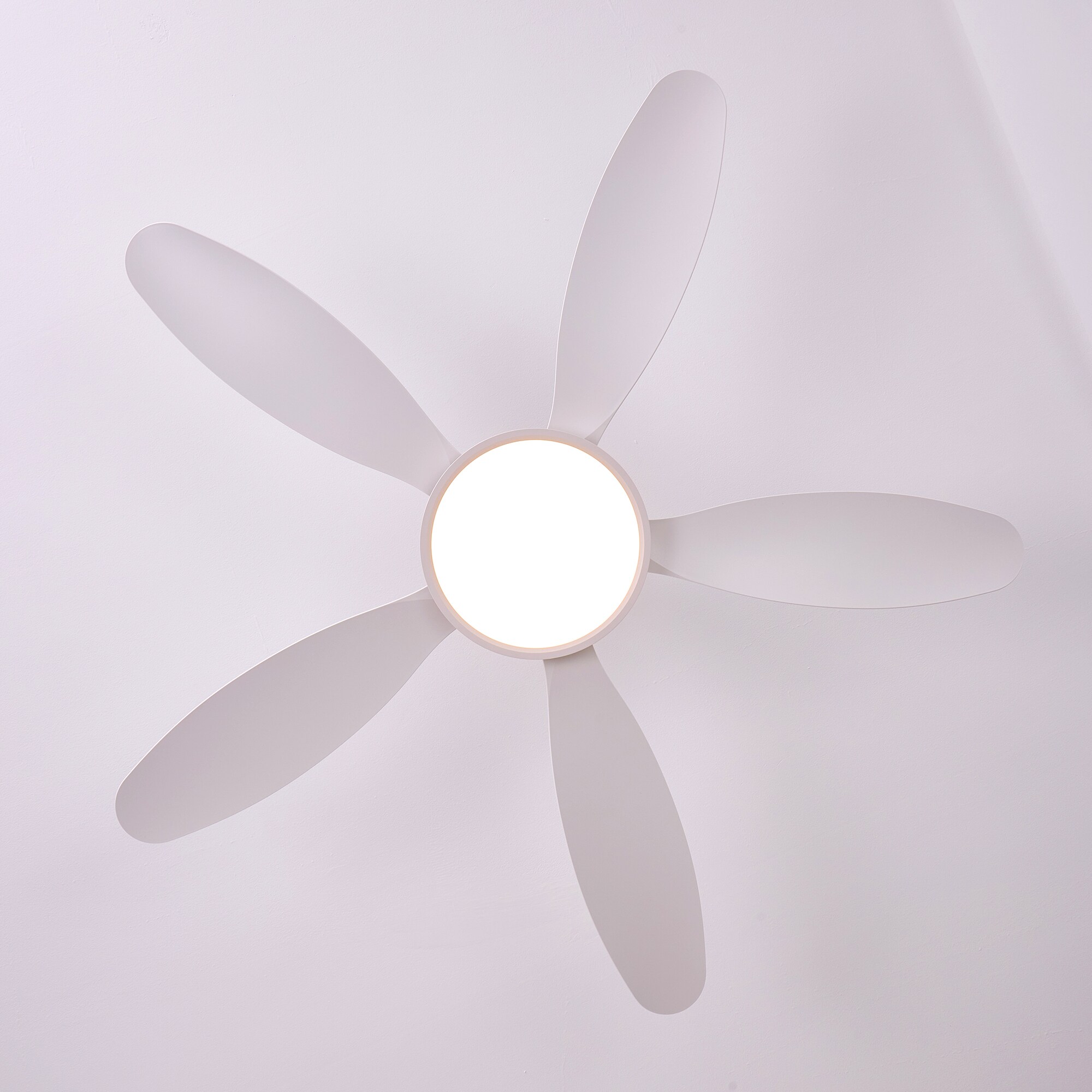 LuminFan NF-6267W-52D  - View #20