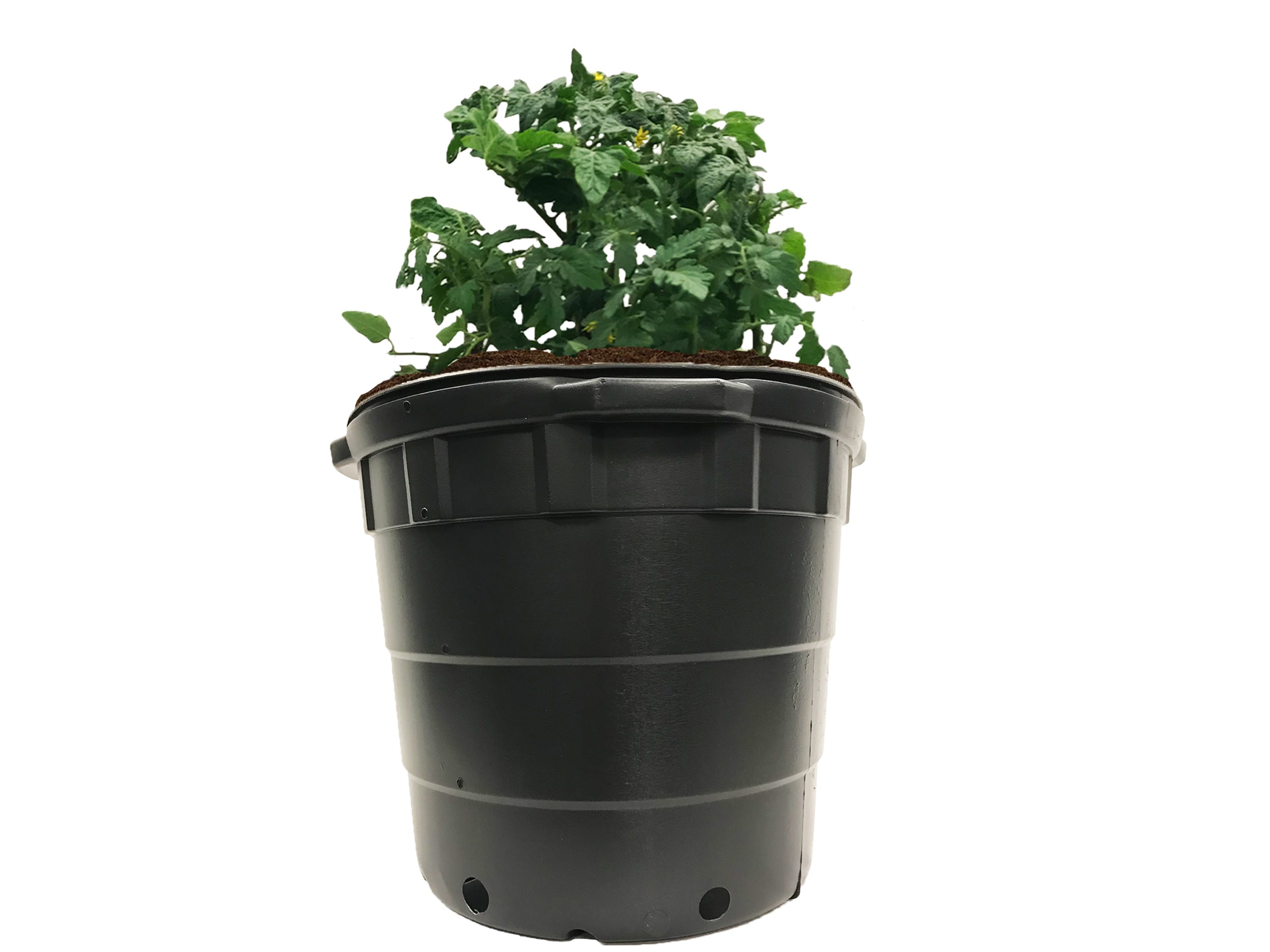 Viagrow VHPP1000-5 Planter-Window-Box - View #5