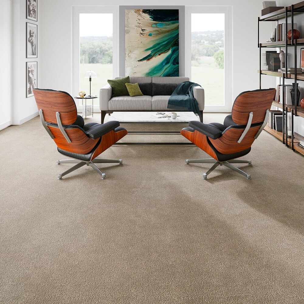 STAINMASTER PetProtect SS005-L014-0808 Carpet-Samples - View #5