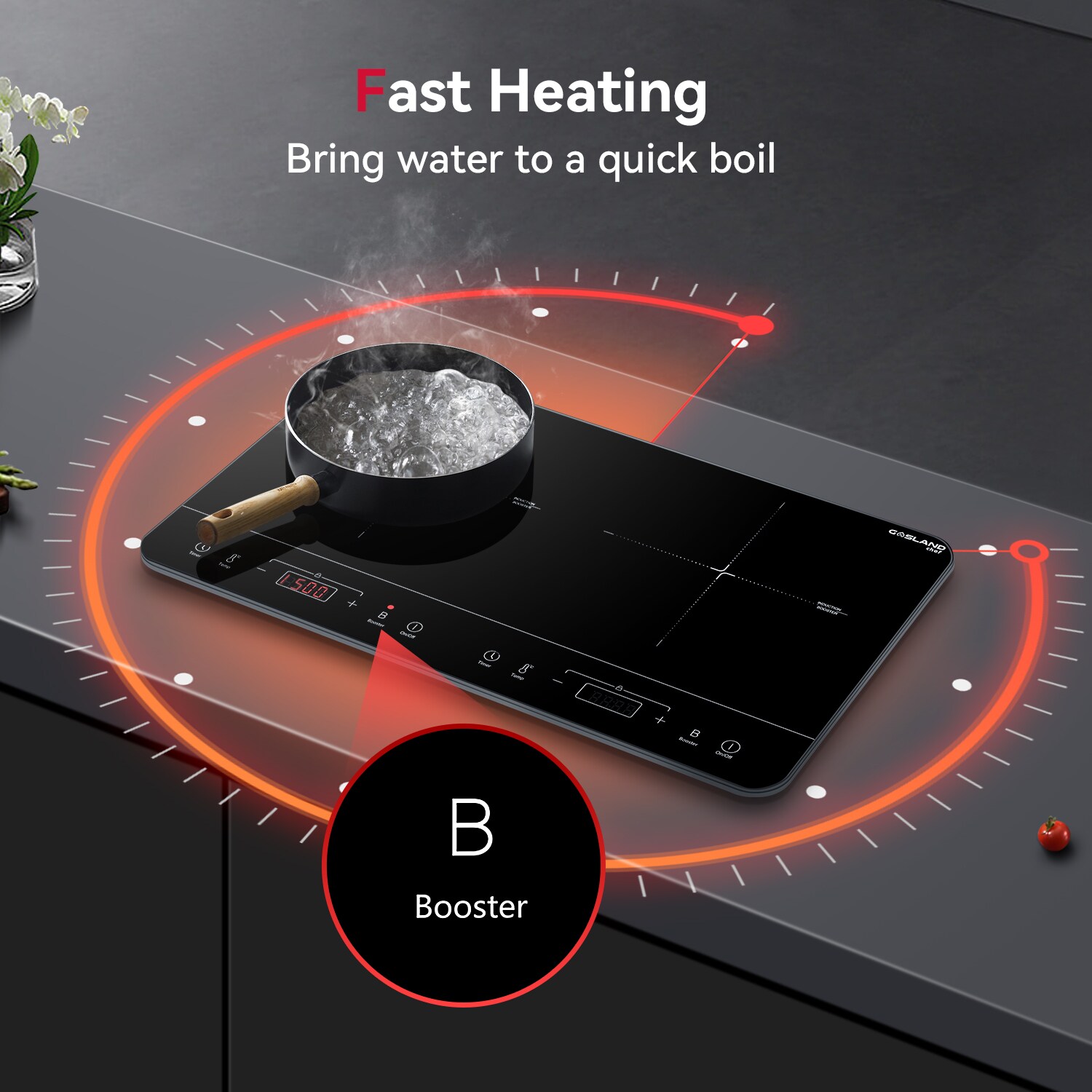 Gasland Chef 24in 2 Burners Black Induction Cooktop in the Induction