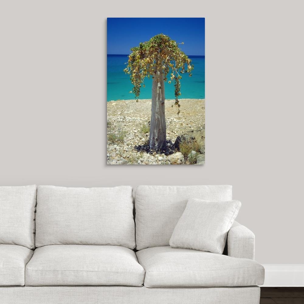 GreatBigCanvas 1134672-24-24X36 Wall-Art - View #2