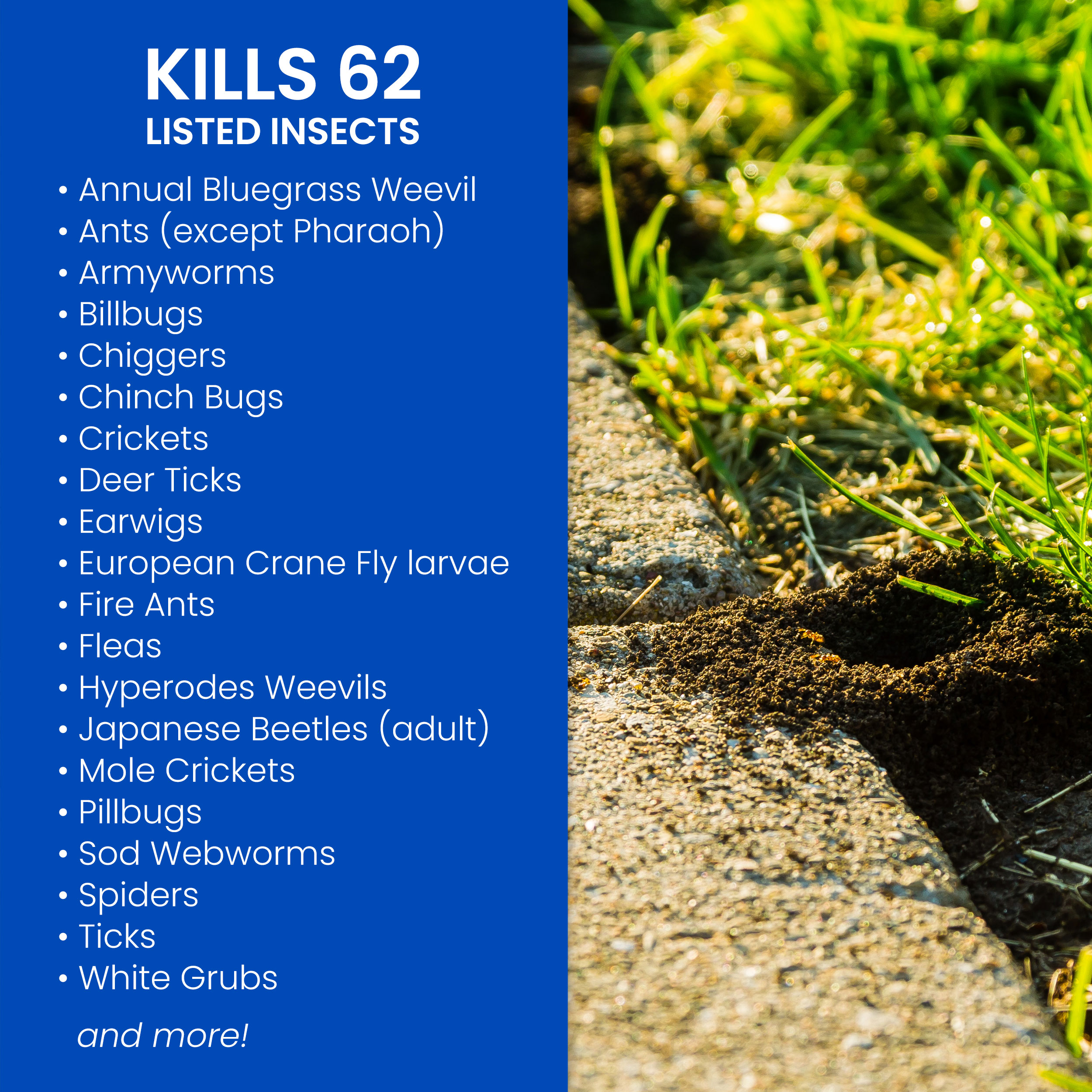 BioAdvanced 700280B pesticides - View #2