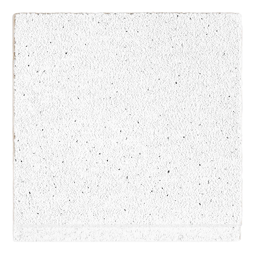 Armstrong Ceilings RSM271 Ceiling-Tile-Samples - View #2
