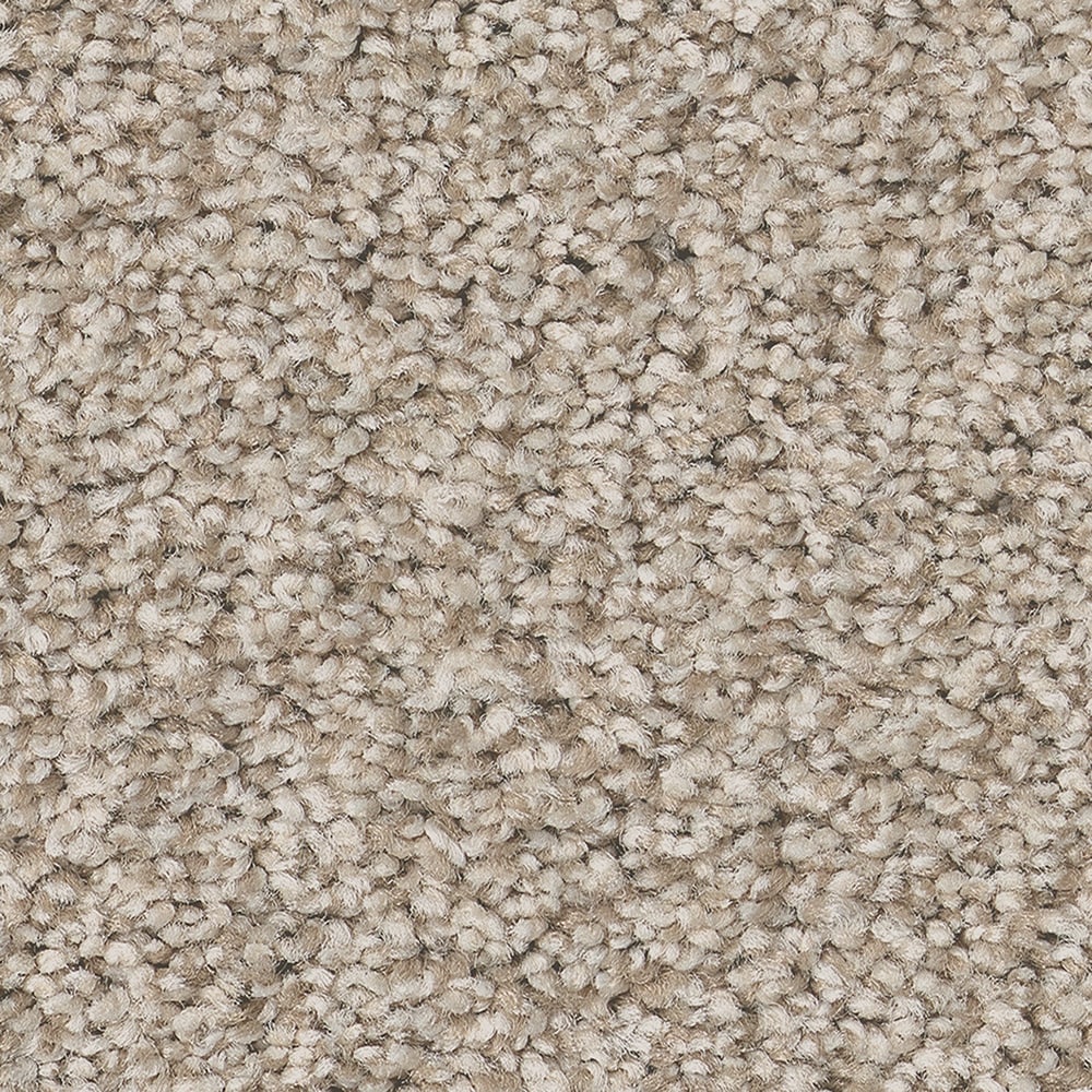 STAINMASTER 7L879 - 763 - SAMP (Sample) Ready 2 Play II Marmaduke Brown 58.5-oz sq yard Nylon Textured Indoor Carpet