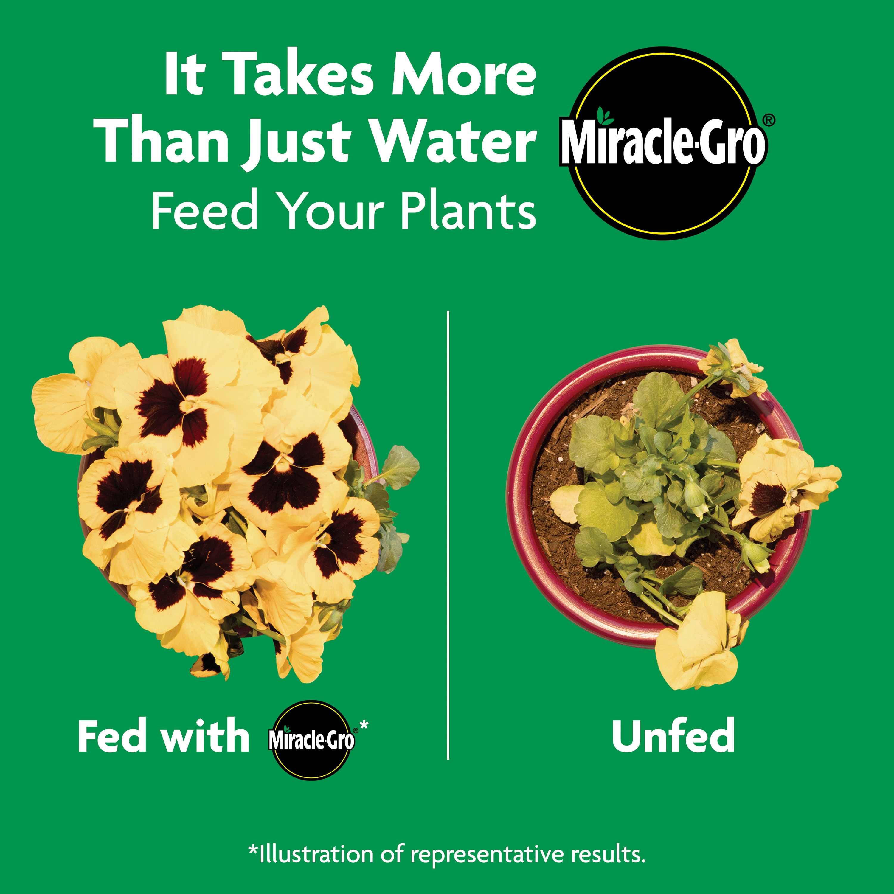 Miracle-Gro 3002210 Plant-Food - View #9