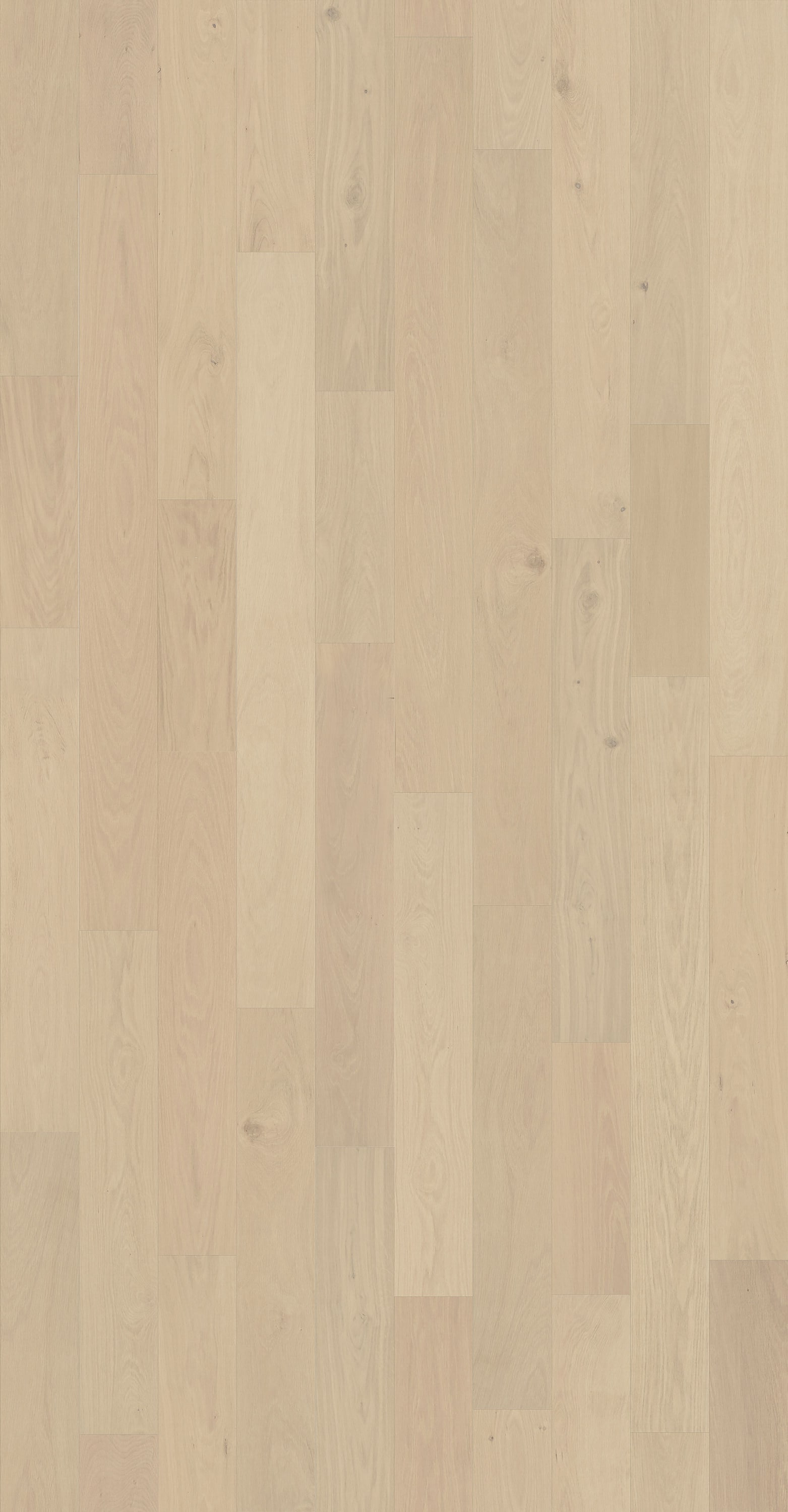 Element Flooring E21014S Hardwood-Flooring-Samples - View #9