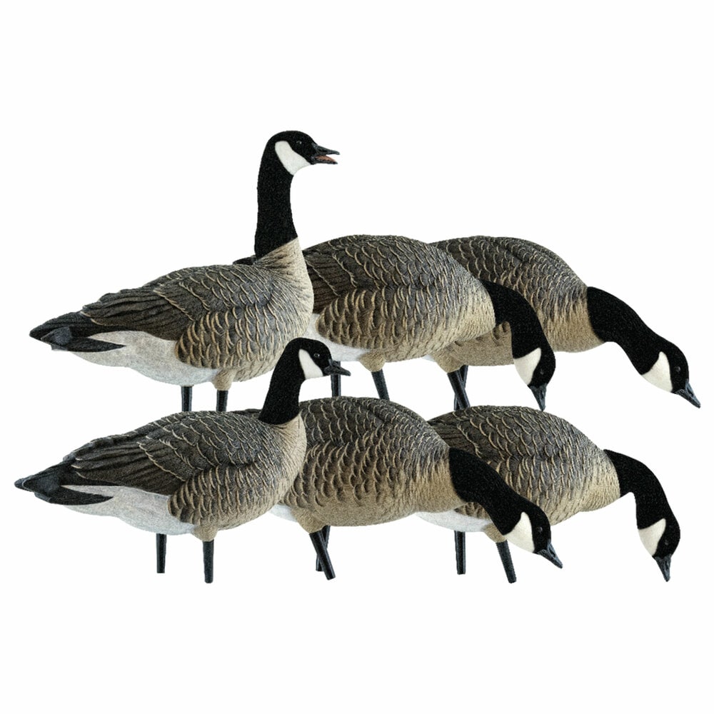  Avian X 408553 Hunting-Equipment - View #8
