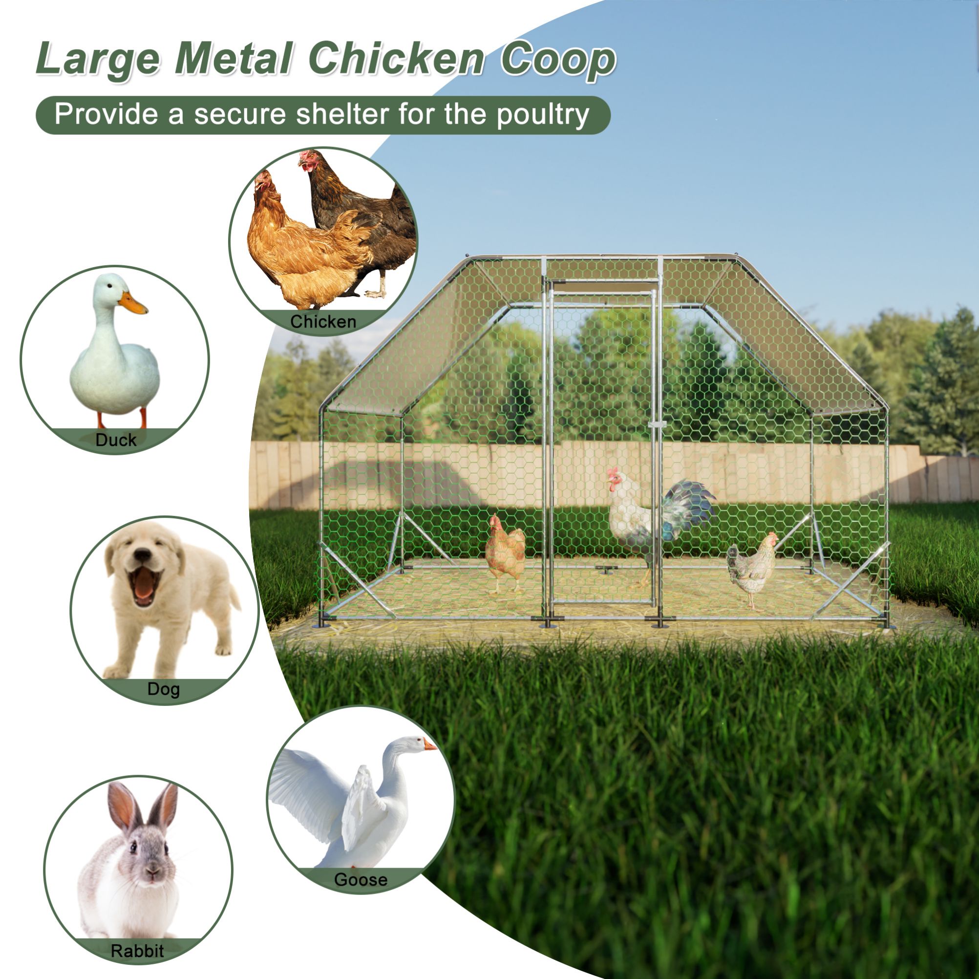 Siavonce XH76604 Chicken-Coops-Rabbit-Hutches - View #3
