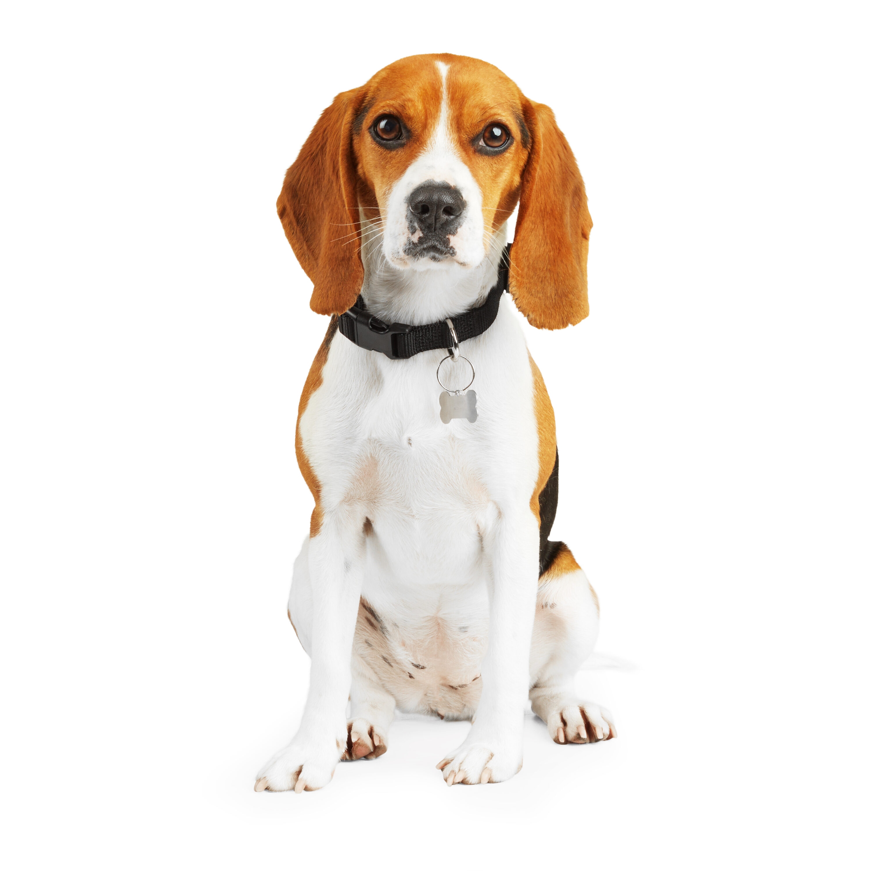 Youly 3710016 Dog-Collars-Harnesses - View #5
