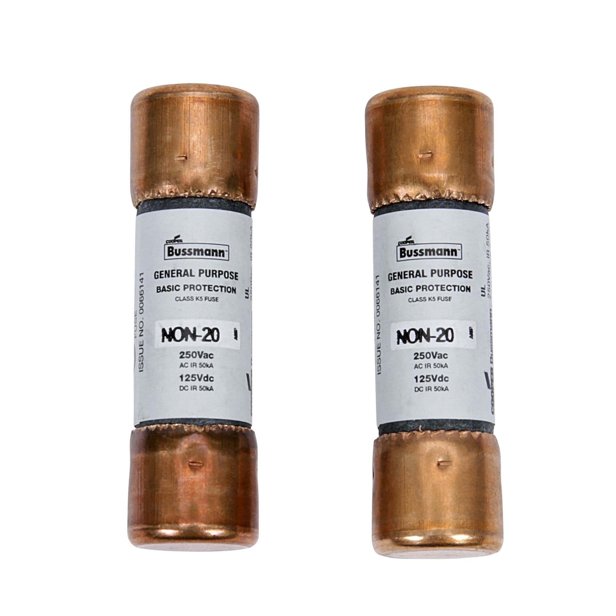 Cooper Bussmann 2-Pack 20-Amp Fast Acting Cartridge Fuse in the Fuses  department at