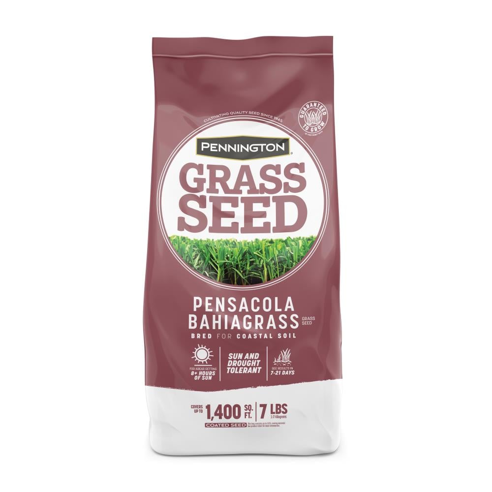 Bahia Grass & Grass Seed at