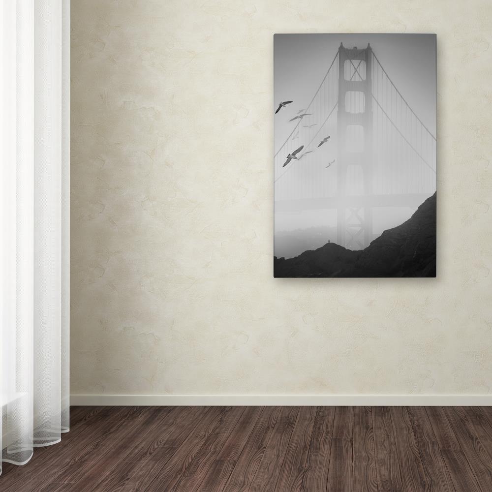 Trademark Fine Art ALI1112-C2232GG Wall-Art - View #3
