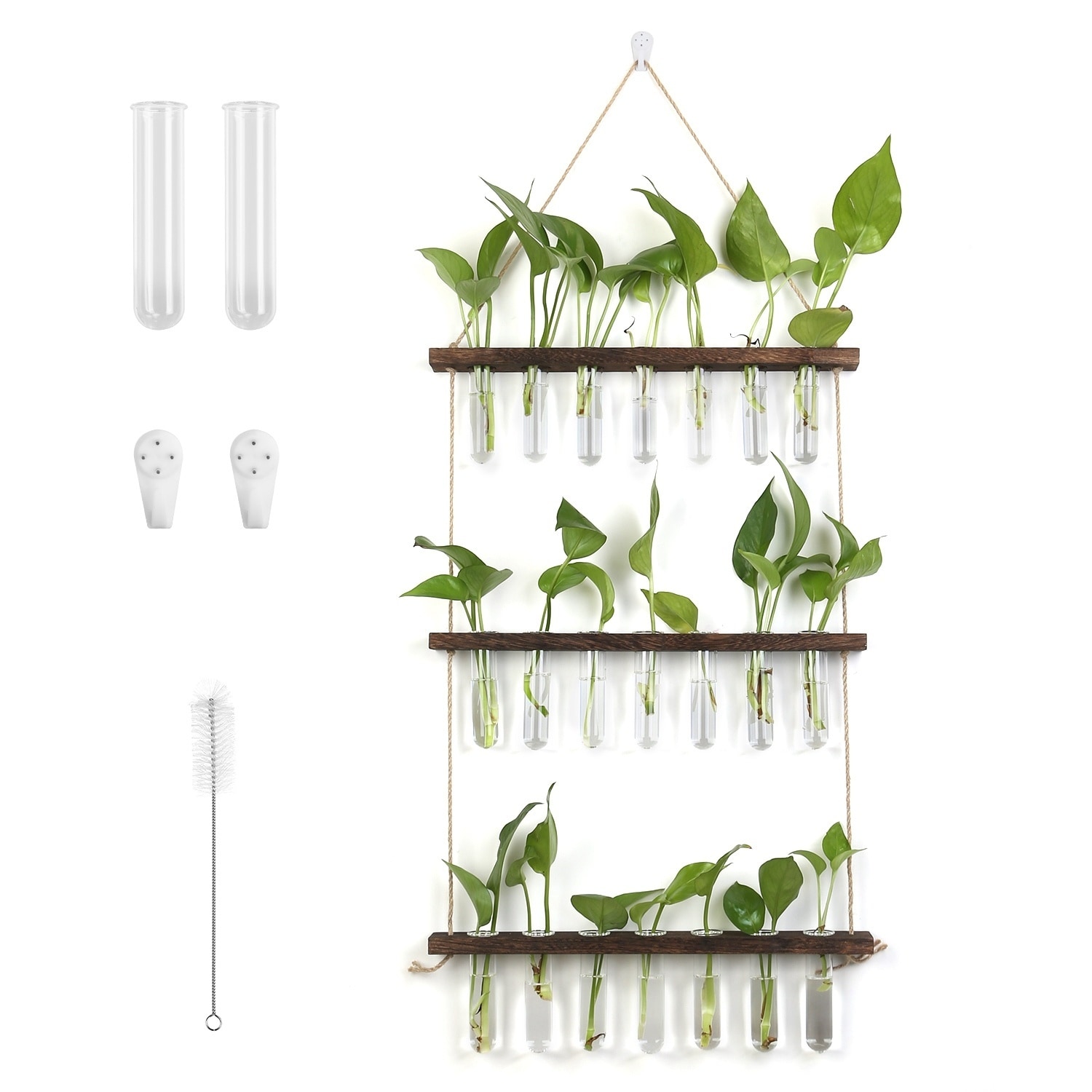 AHIOU HOME ZAAHD-HIGPKYPC Mixed 21 -Pack Terrarium 1.0 -Pack