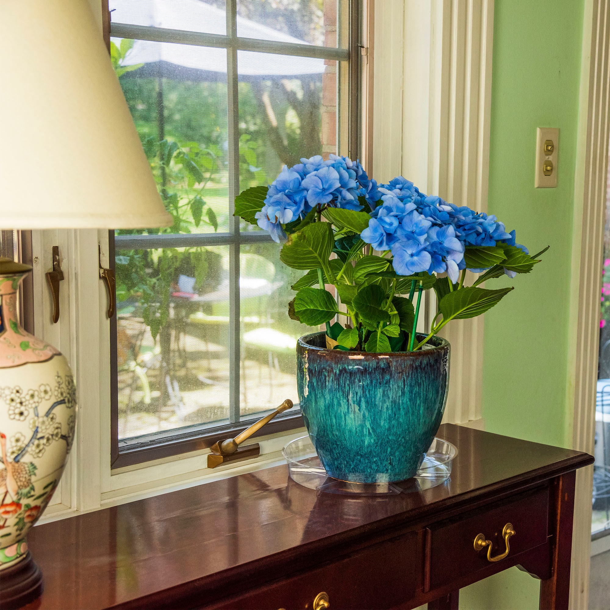 Gardener's Blue Ribbon TS10 Plant-Saucers - View #2