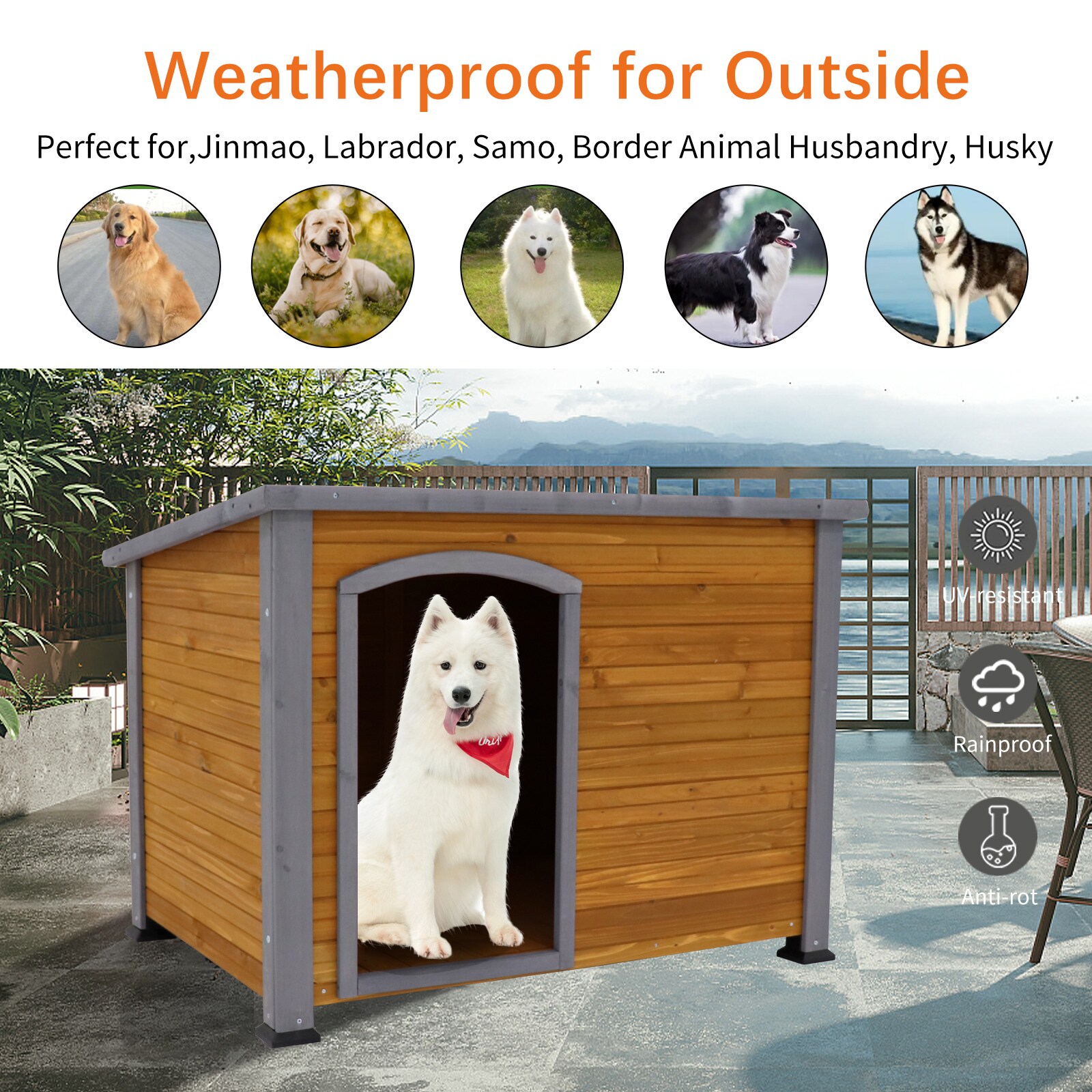 Mondawe MO-43169243 Chicken-Coops-Rabbit-Hutches - View #2