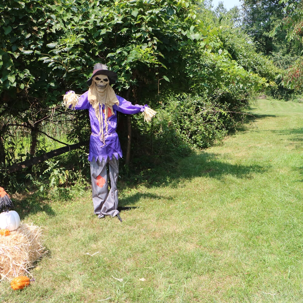 Haunted Hill Farm HHSCR-5FLS Halloween-Animatronics - View #9