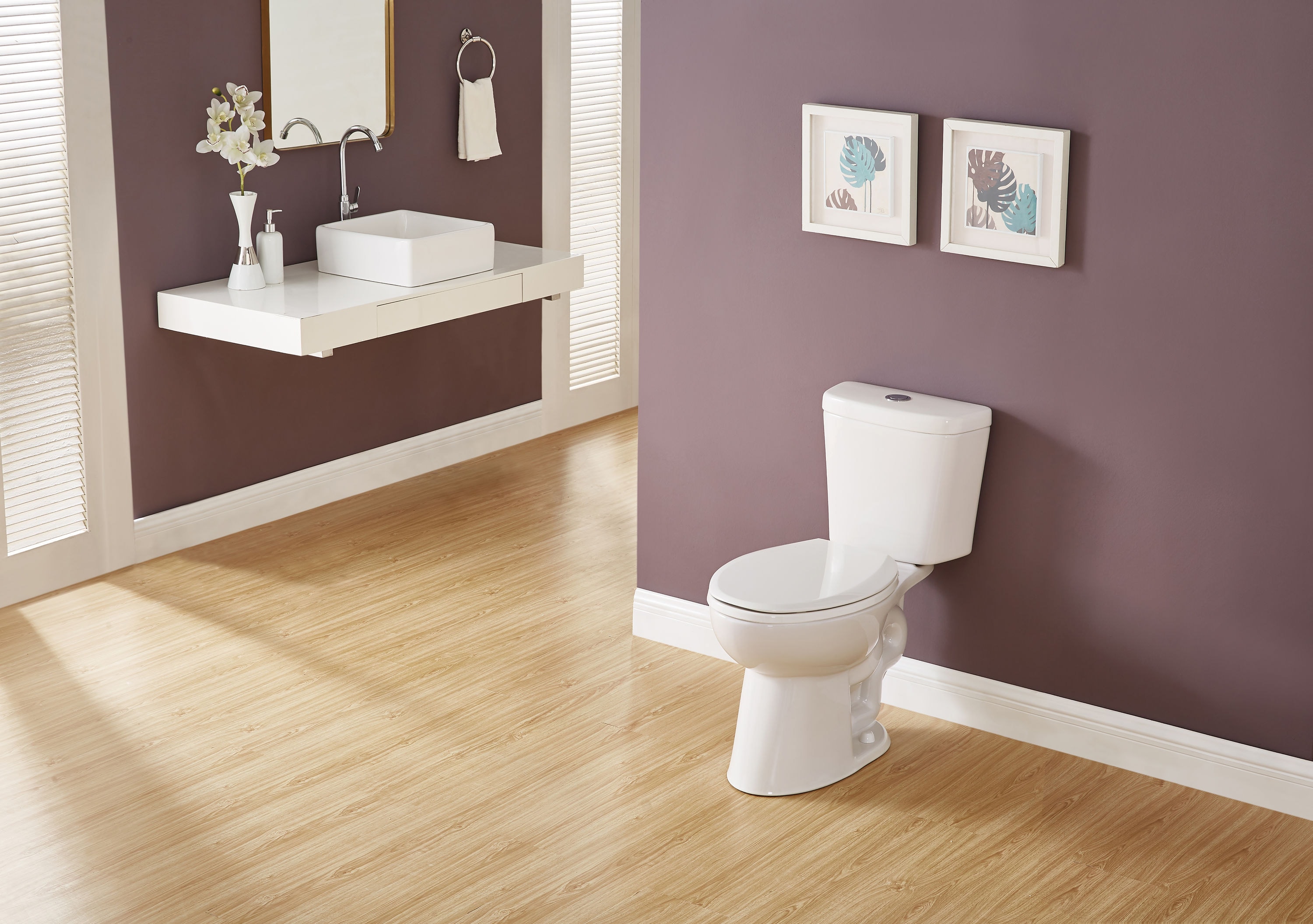 Project Source MT-20204P toilets - View #10