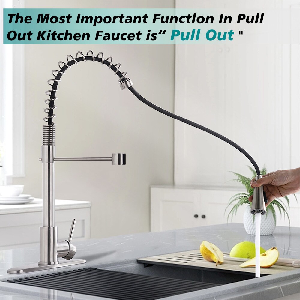 EQLOO D0675-BN Kitchen-Faucets - View #2