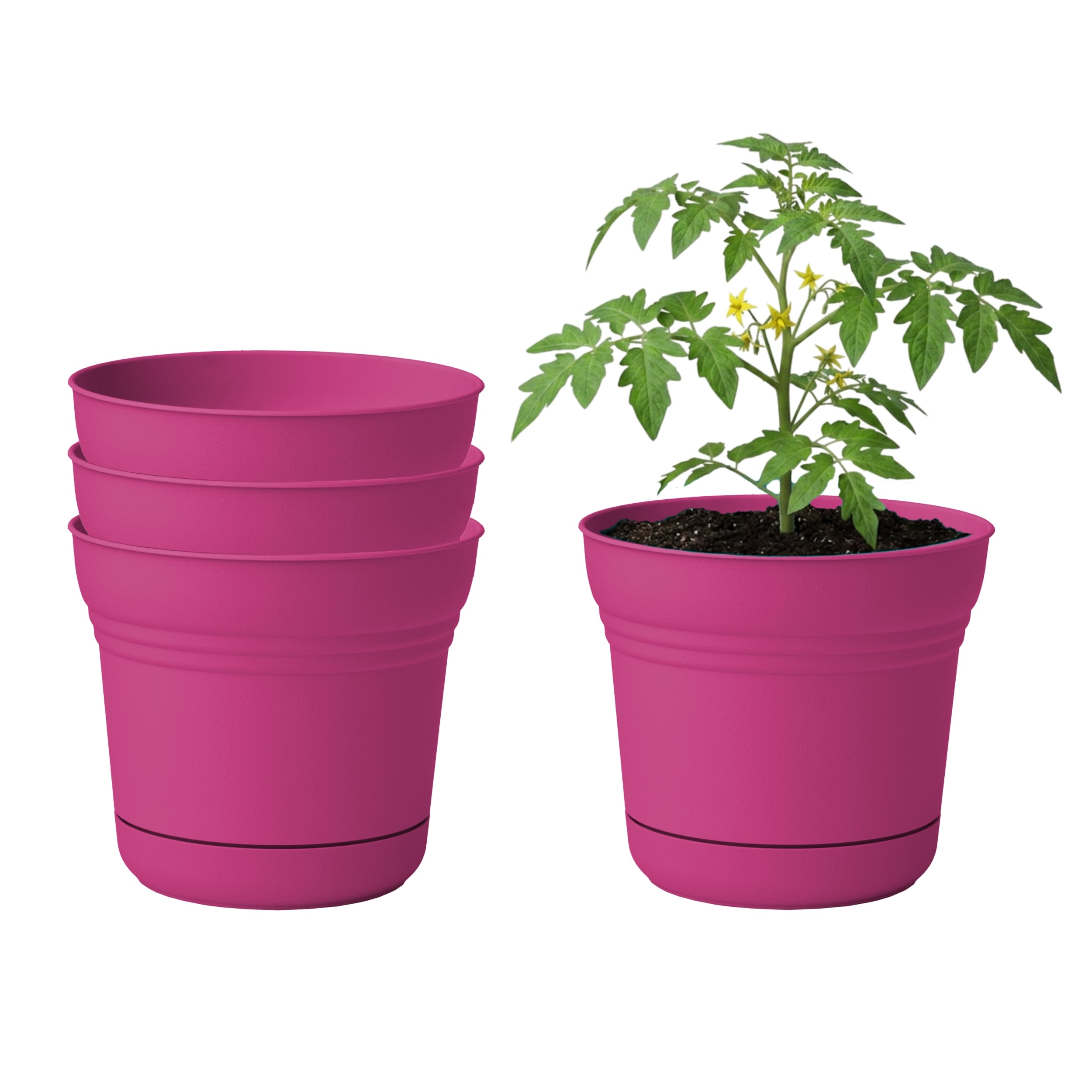 Bloem - Saturn 12-in Plastic Planter with Saucer - Fuchsia - 4-Pack