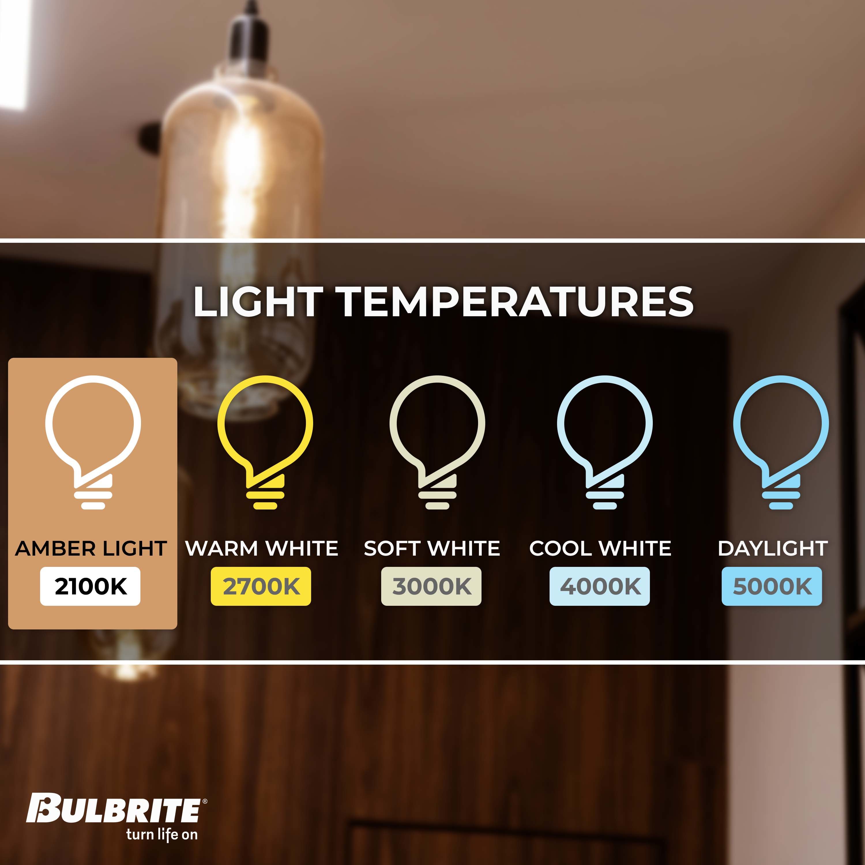 Bulbrite 137501 Dec-Led-Light-Bulbs - View #4