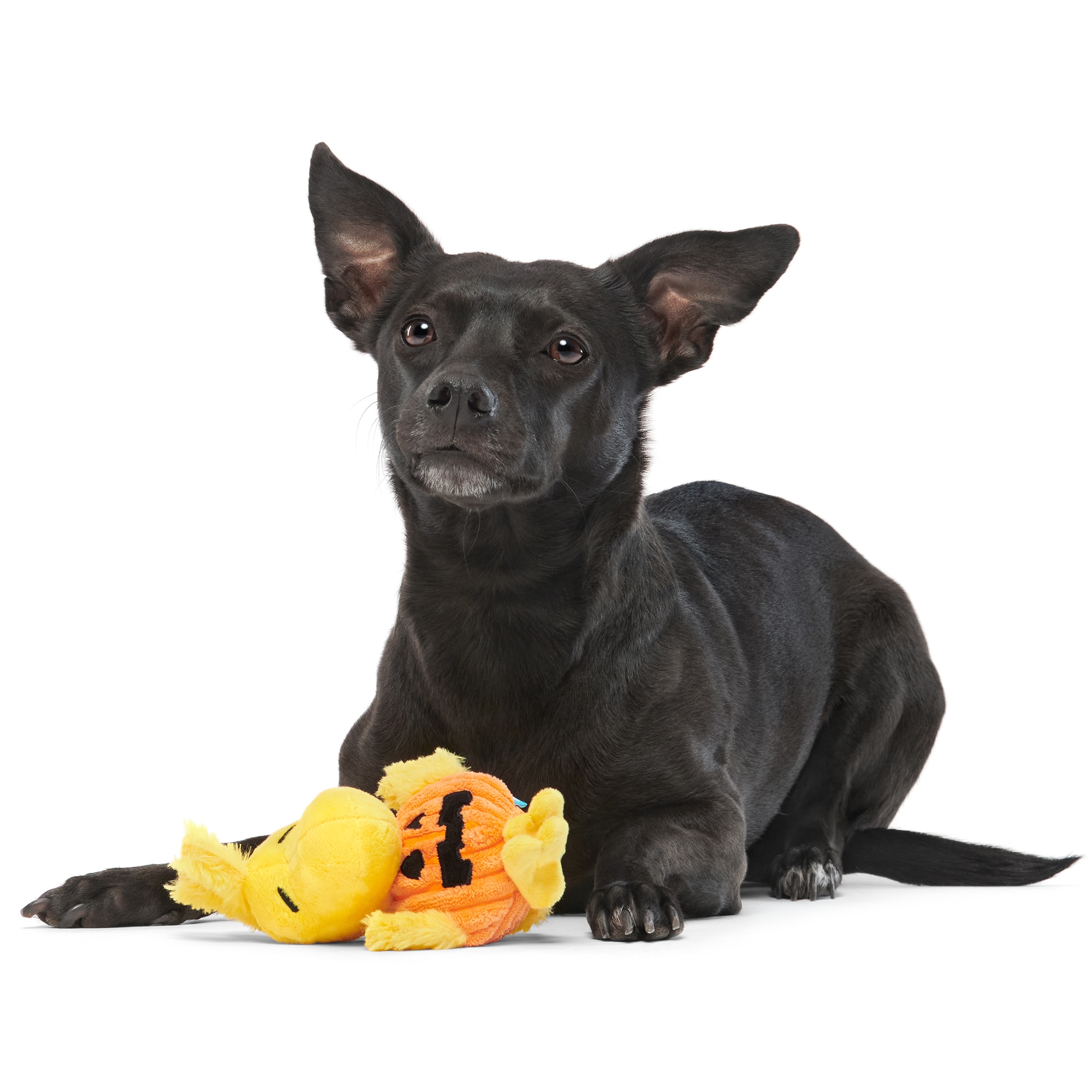 BARK 214624 Dog-Toys - View #4