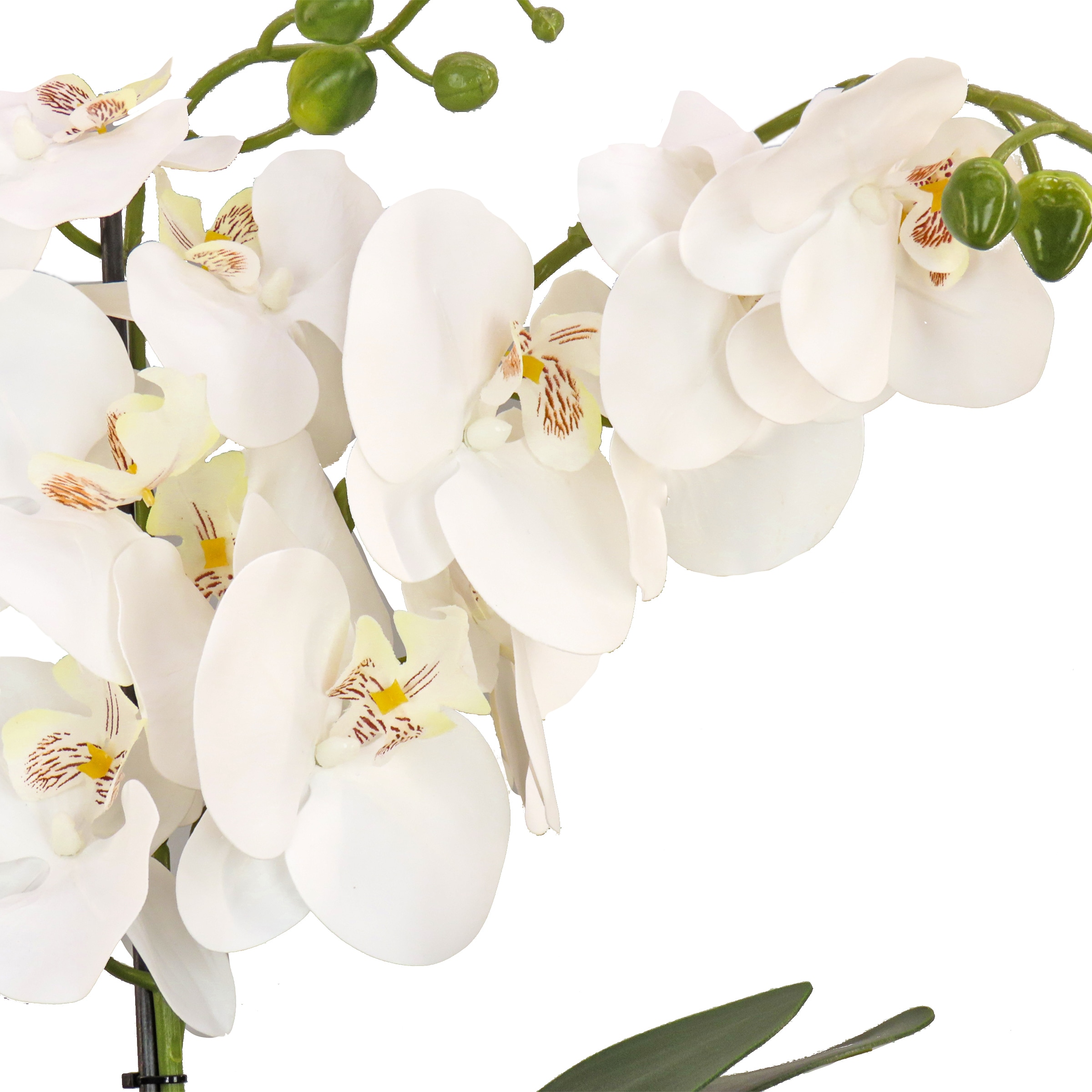 National Tree Company MT81-PH0254PWH Indoor-Spring-Decorations - View #3