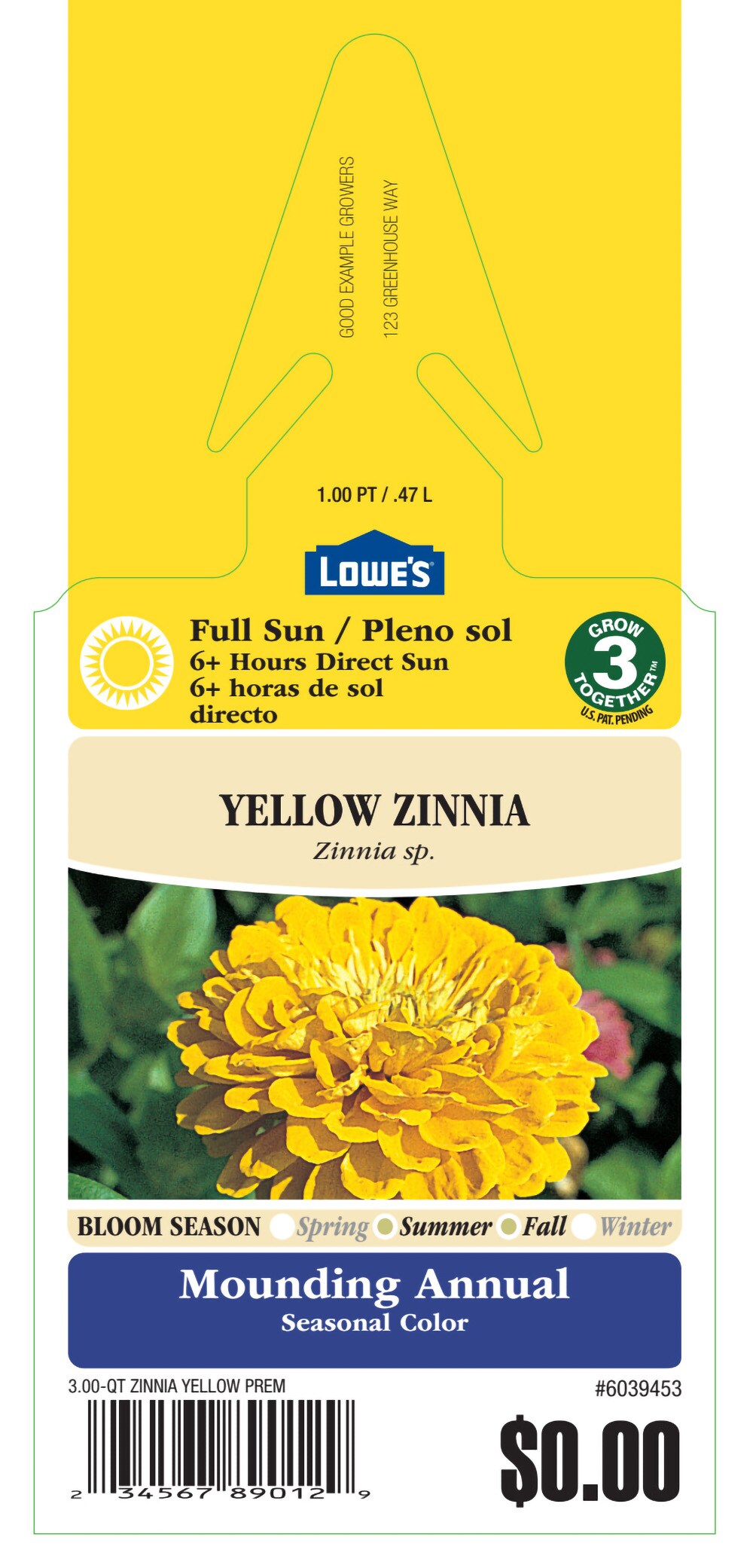  6039453 annuals - View #3